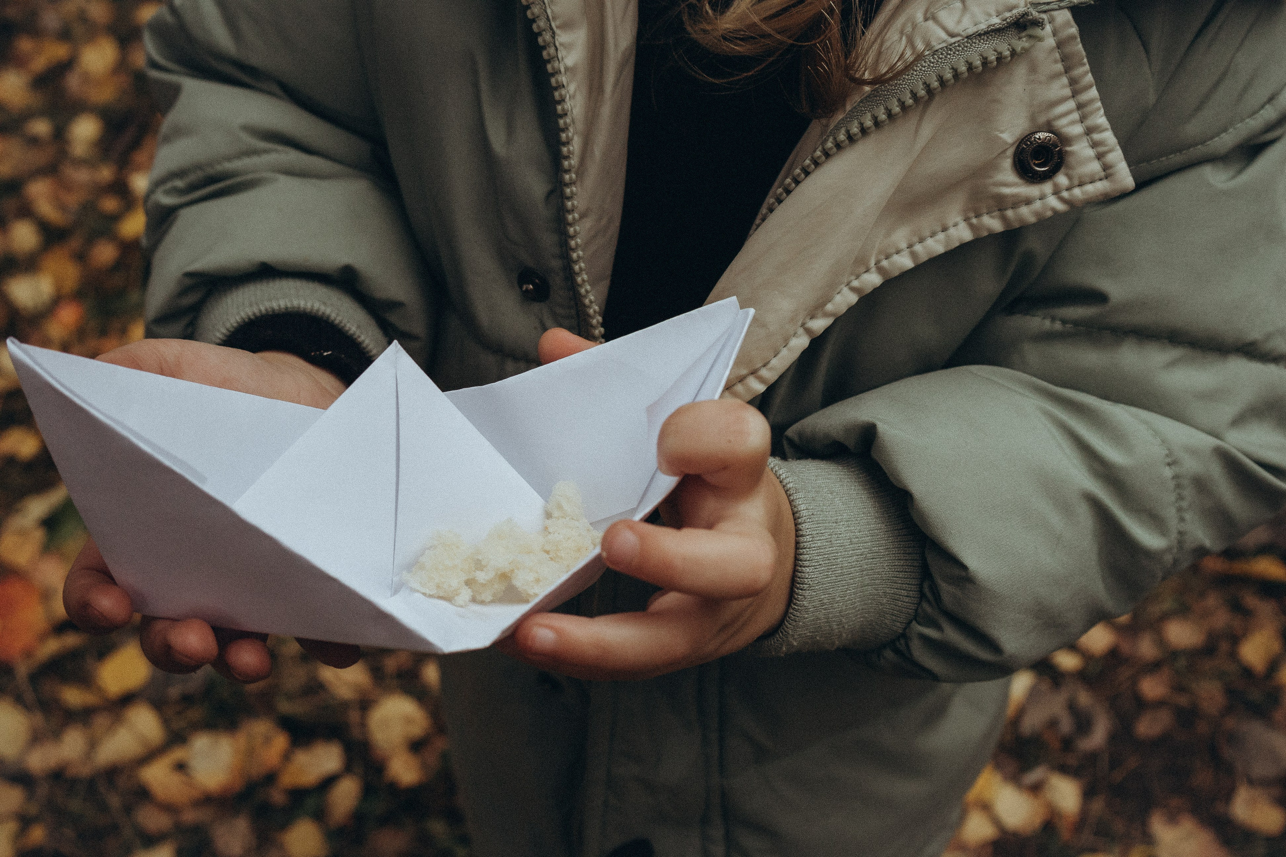 Осенний пикник. Фотограф Москва Алёна Суворова