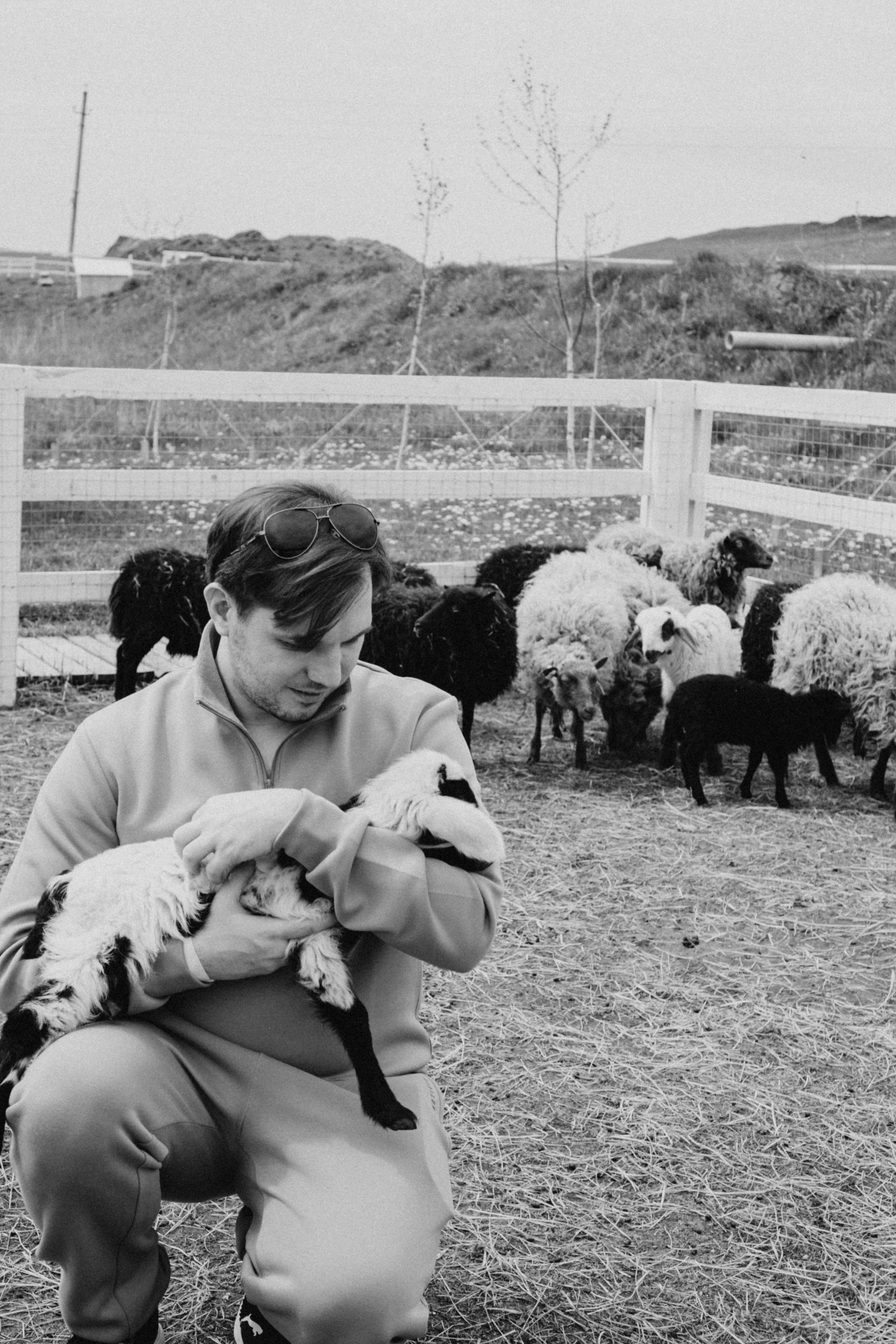 Ферма Альпак. Профессиональный фотограф, Санкт-Петербург — Виктория Богомолова