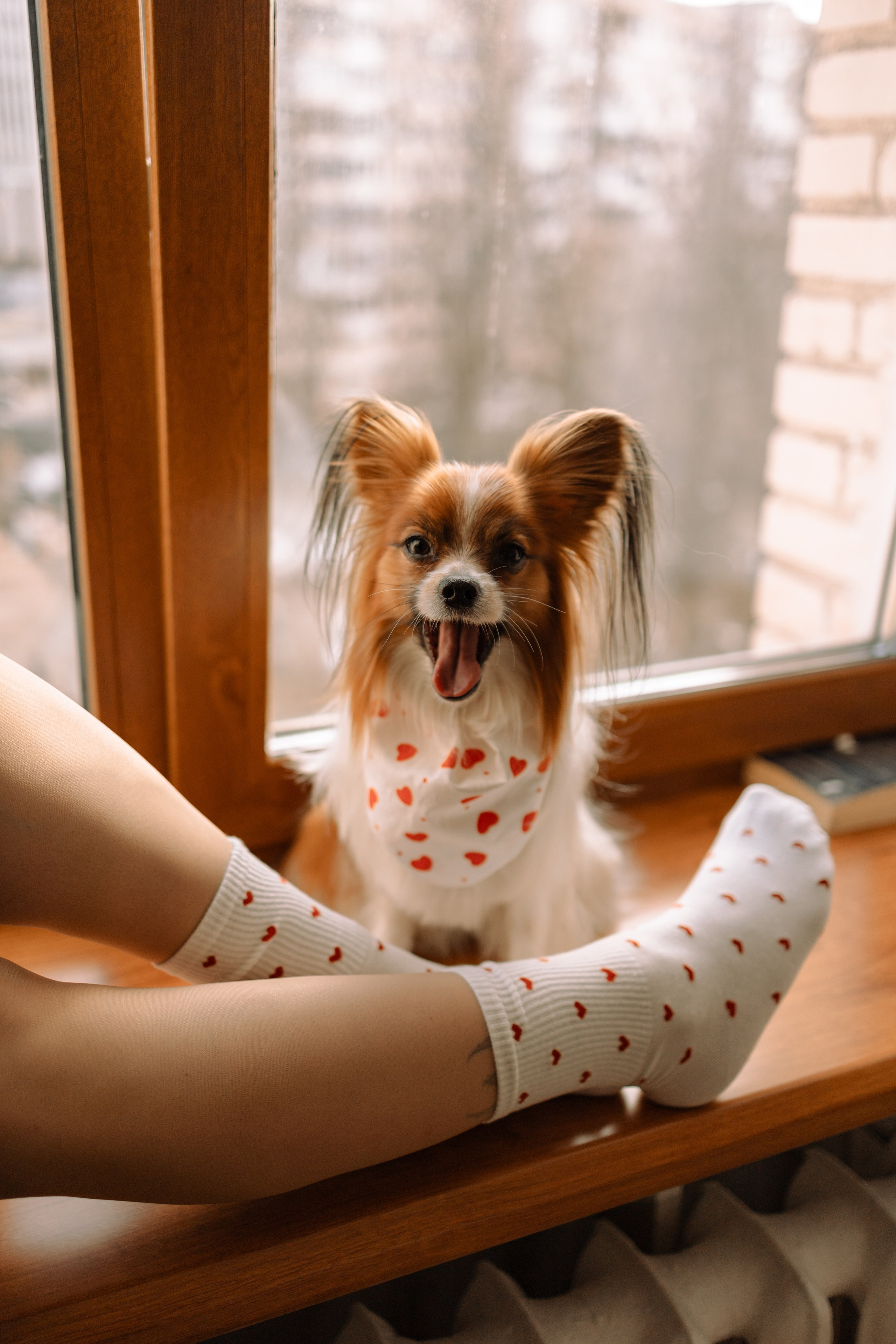 Женя и Брю. Фотограф — Анималист | Санкт-Петербург