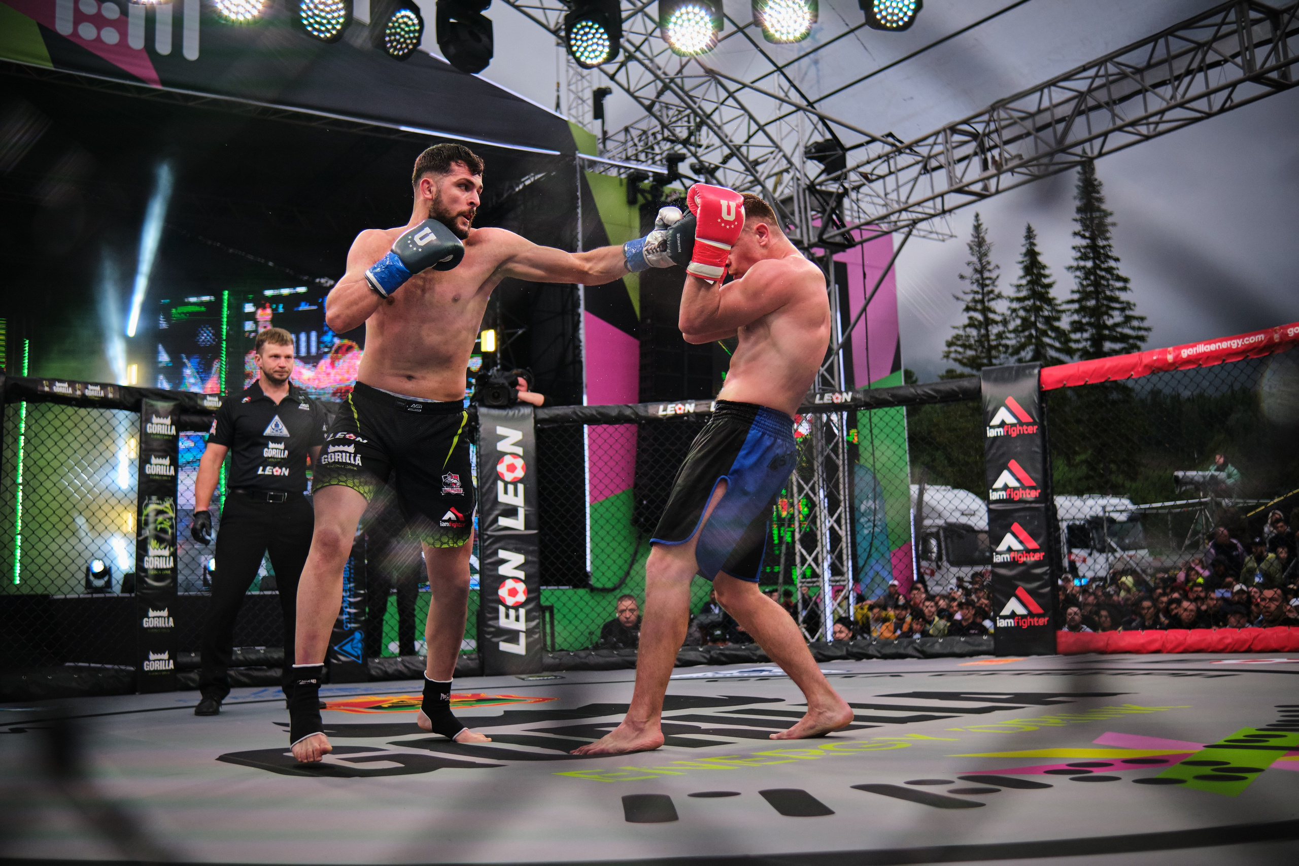 ММА на ПРО ГЕШ. Свадебный и семейный фотограф в Новокузнецке Иван Иванов