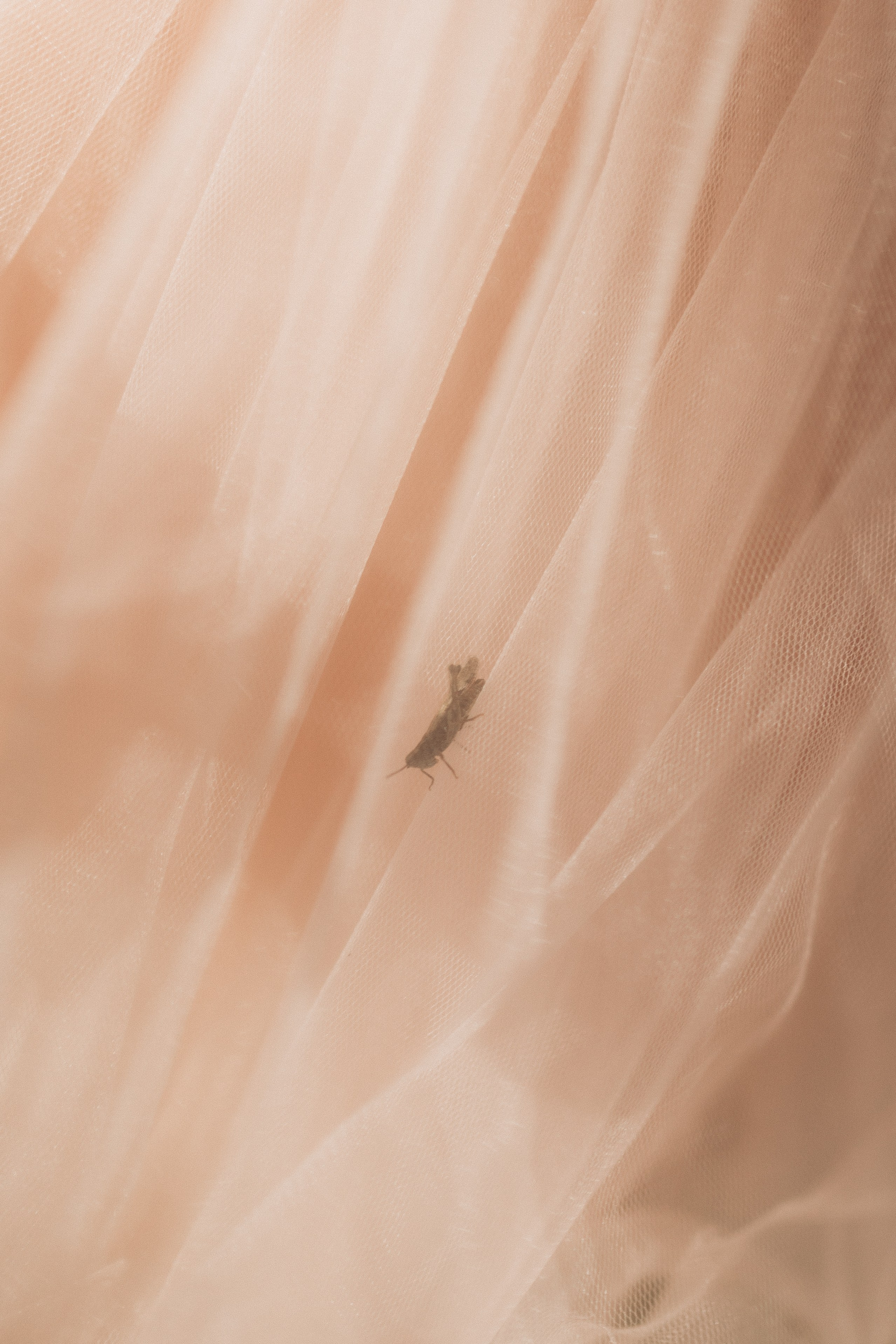 Вика и Миша на сене. Семейный фотограф lifestyle в Новосибирске Елена Шпилевая