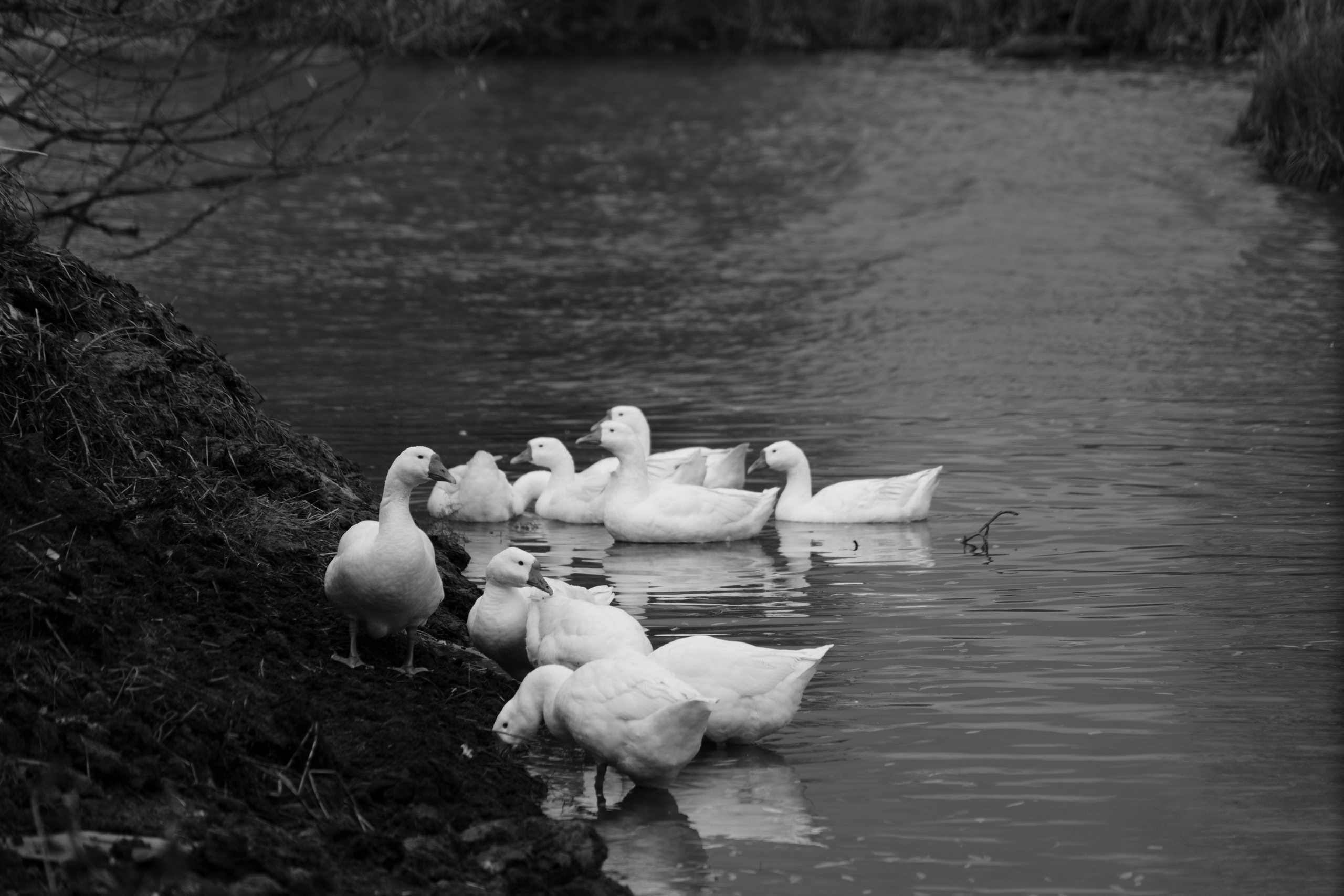 Бекстейдж сьемки кино. Профессиональная съемка в Алматы