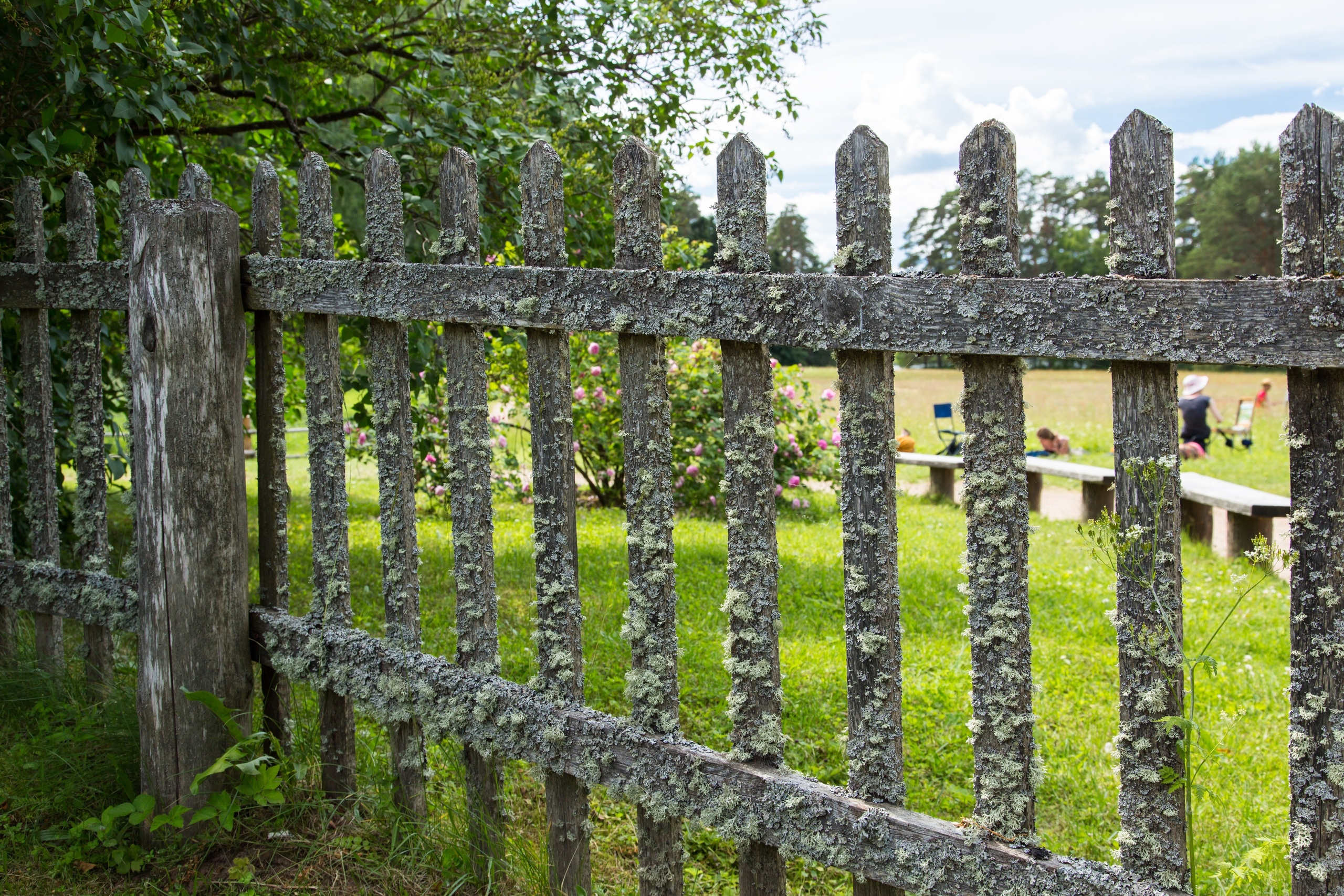 Псковщина. Пейзажи Крайнего Севера. Баренцево море, Рыбачий, Средний, Немецкий
