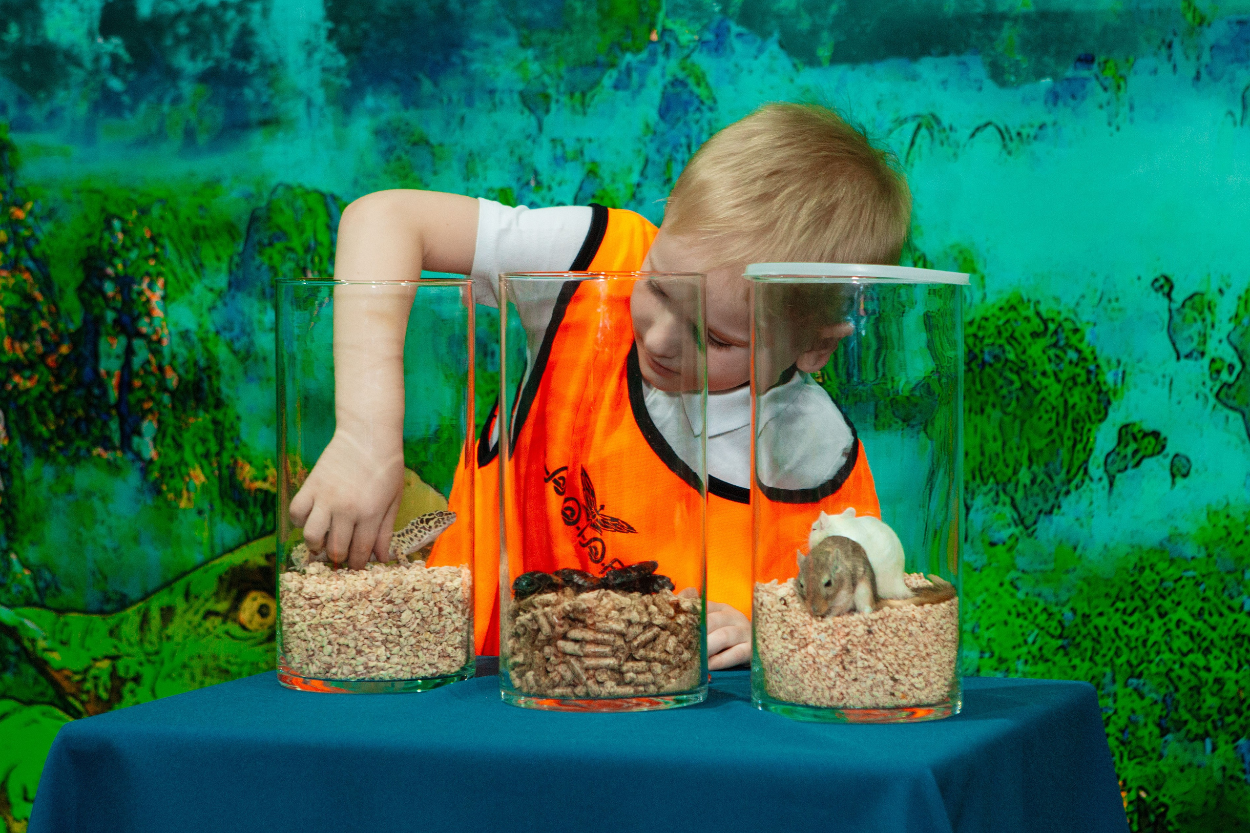 День рождения в Аватаре. Фотограф в Красноярске по выгодной цене