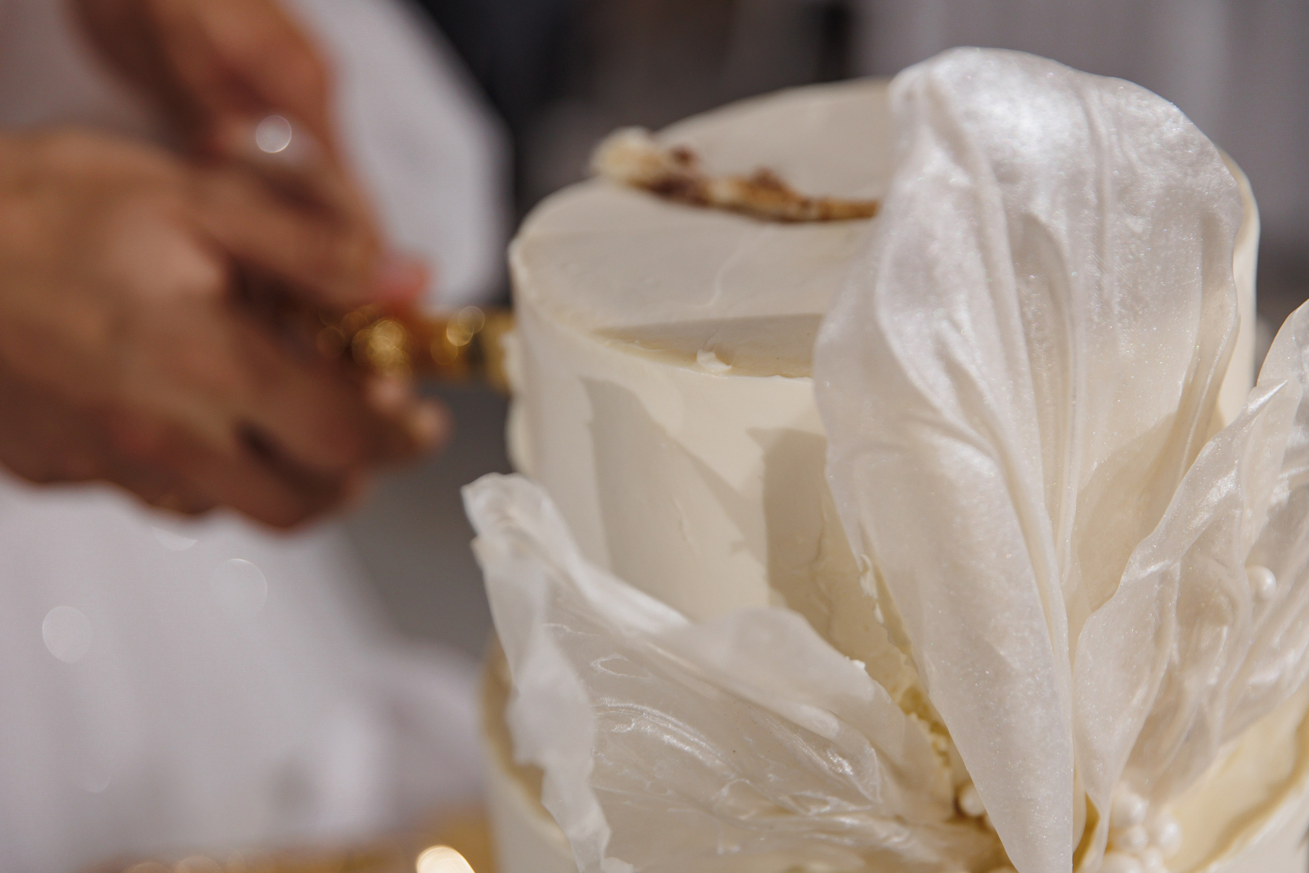 Елизавета и Федор. Wedding photographer in St. Petersburg, Europe and Israel Anna Agafon