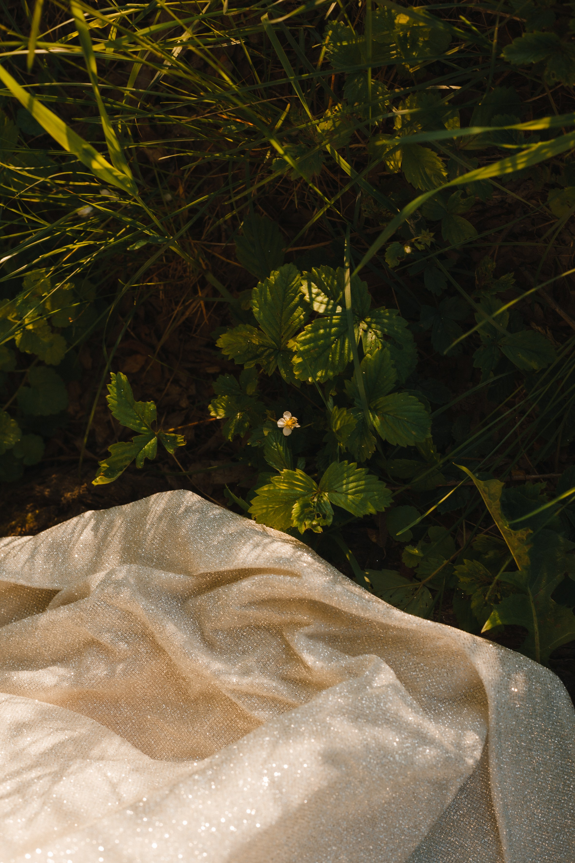 Невеста на закате (портрет). Портретный и репортажный фотограф в Москве, Ольга Ларема