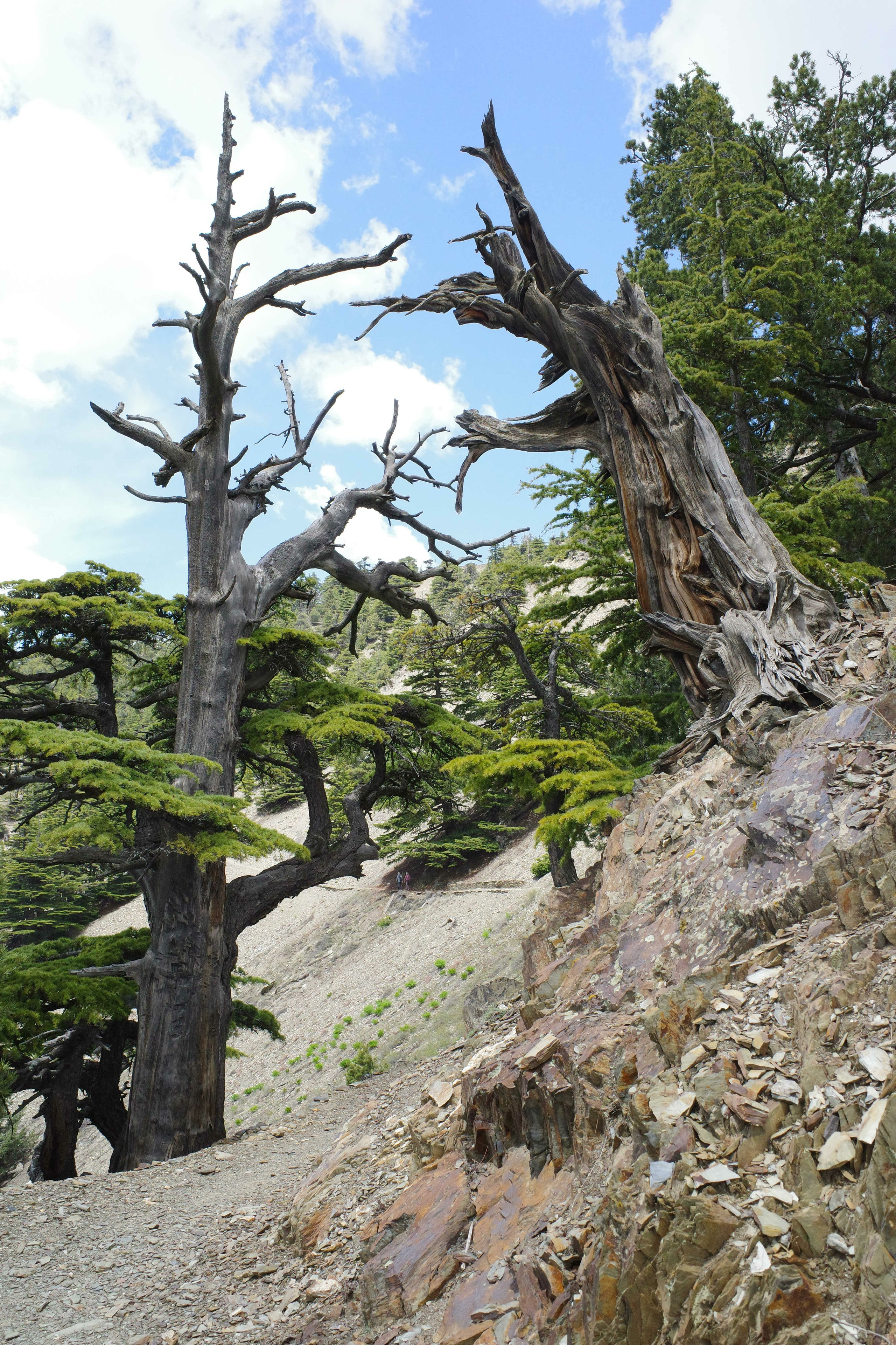 Национальный парк Читрал Гол