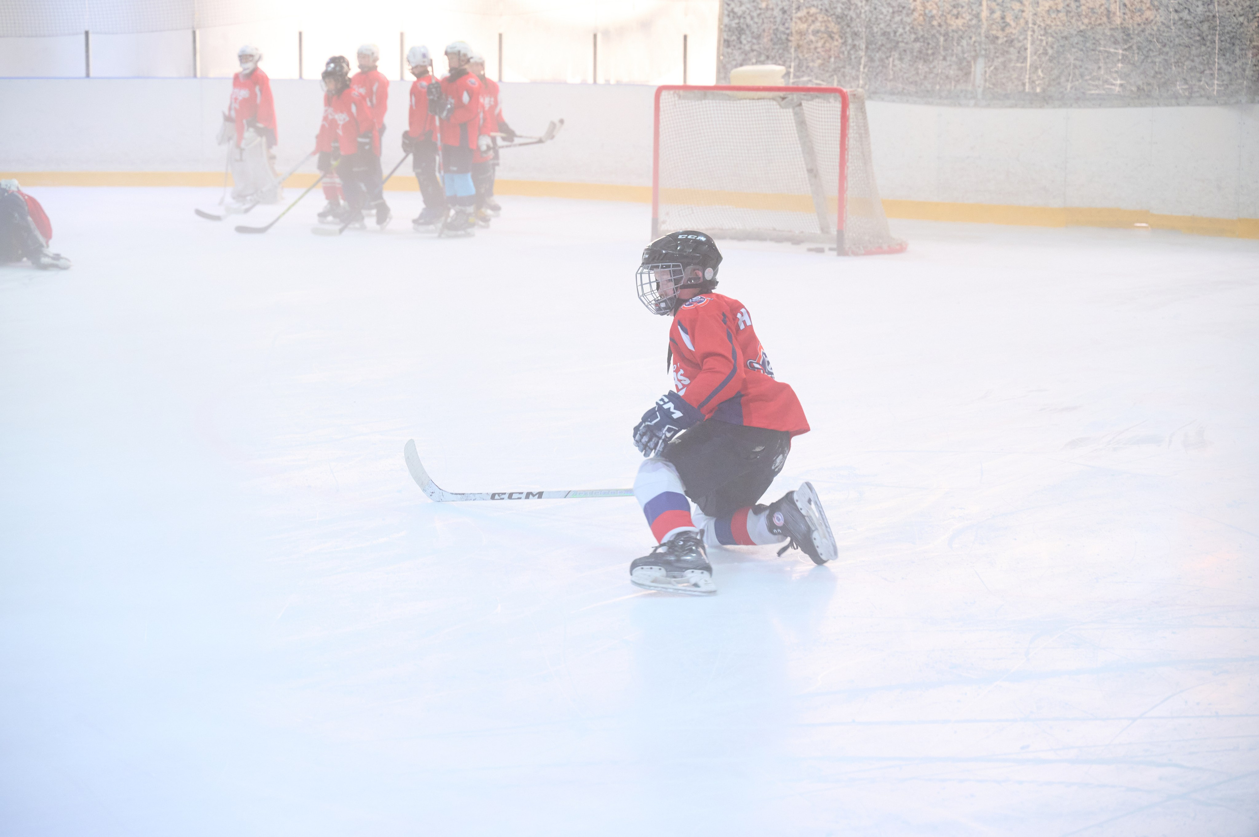 Boston Stars. Фотограф Универсал в Новосибирске