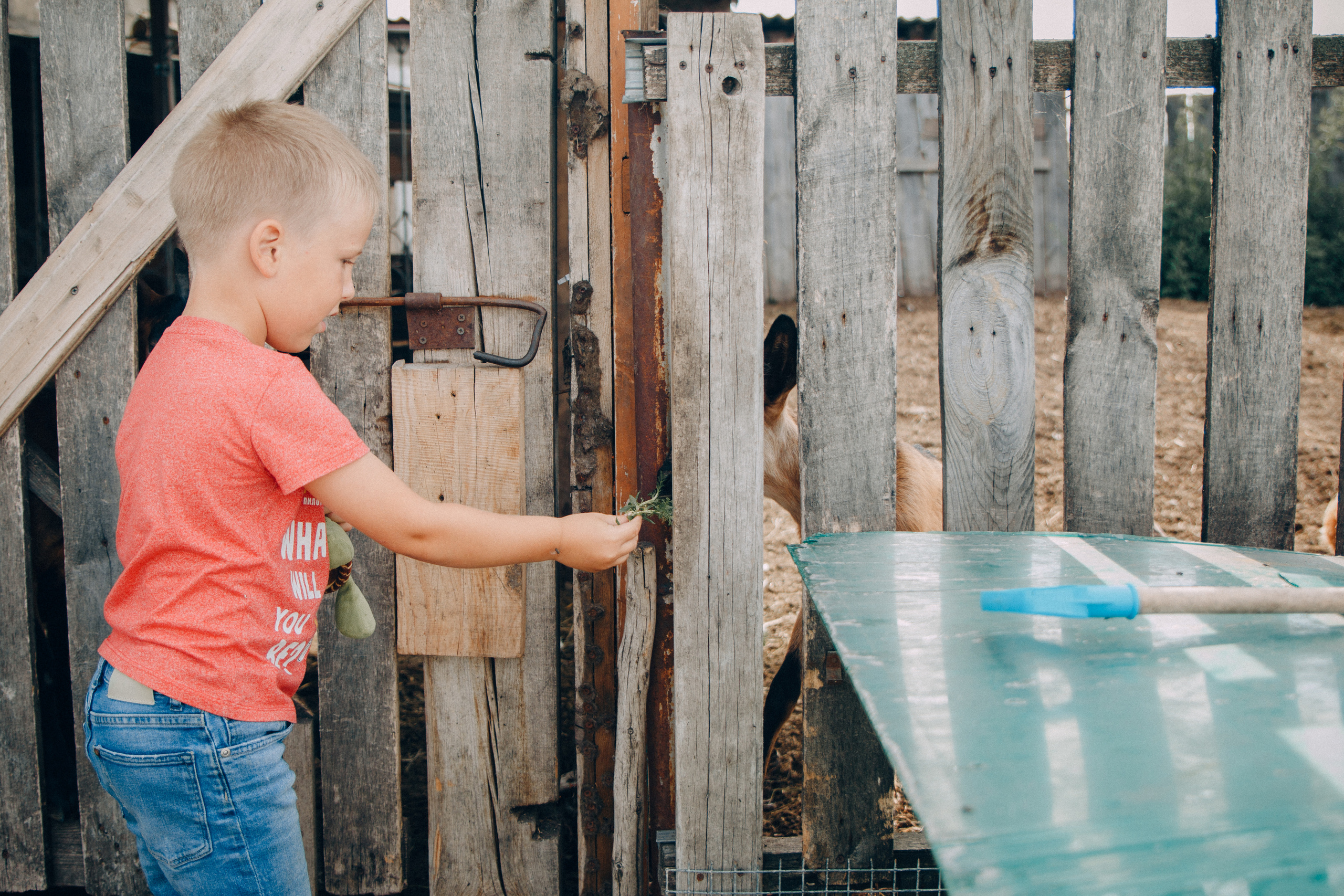 Семейные и детские. Семейный и женский фотограф в Красноярске Алёна Барковская
