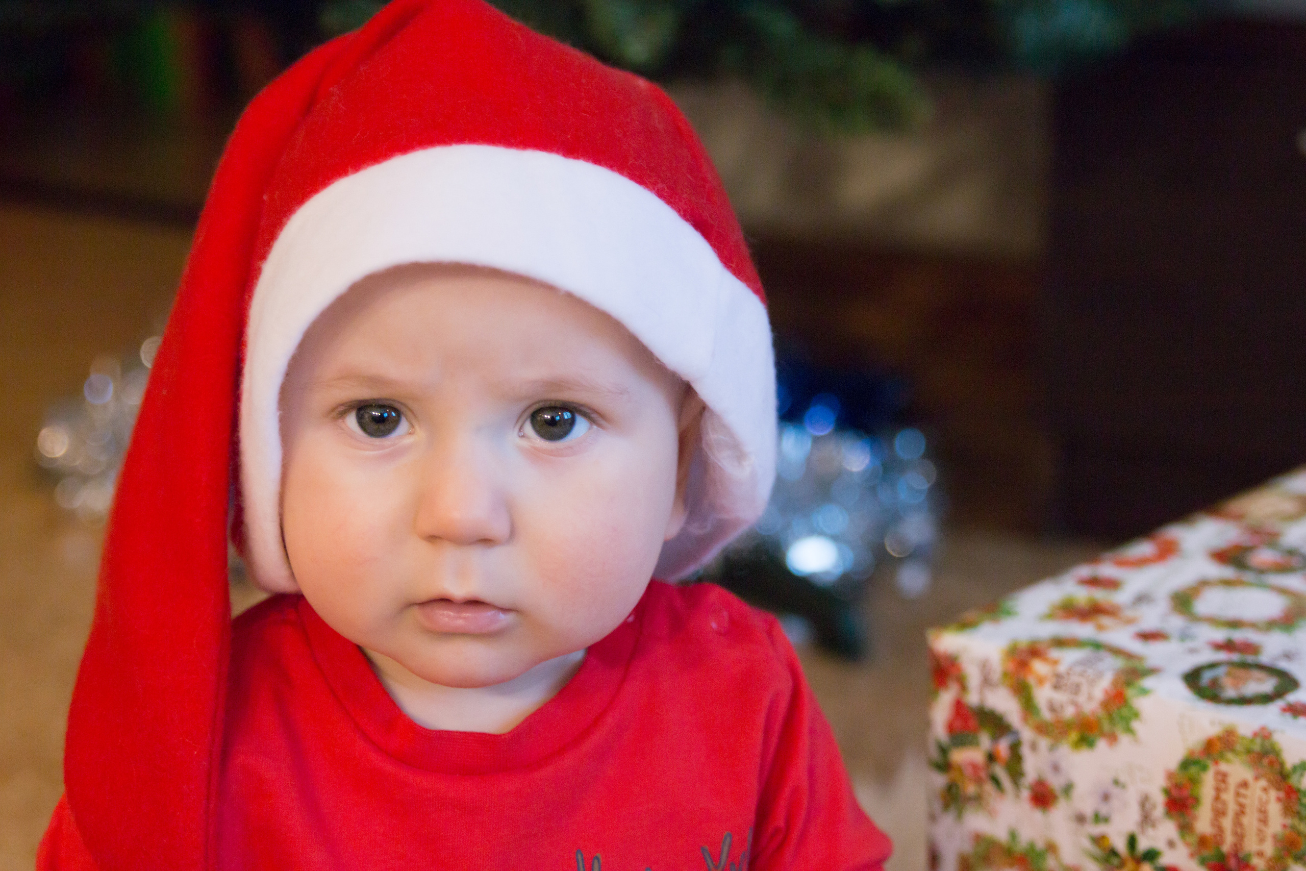 Домашняя новогодняя съёмка Ани с семьёй. Семейный и женский фотограф в Красноярске Алёна Барковская