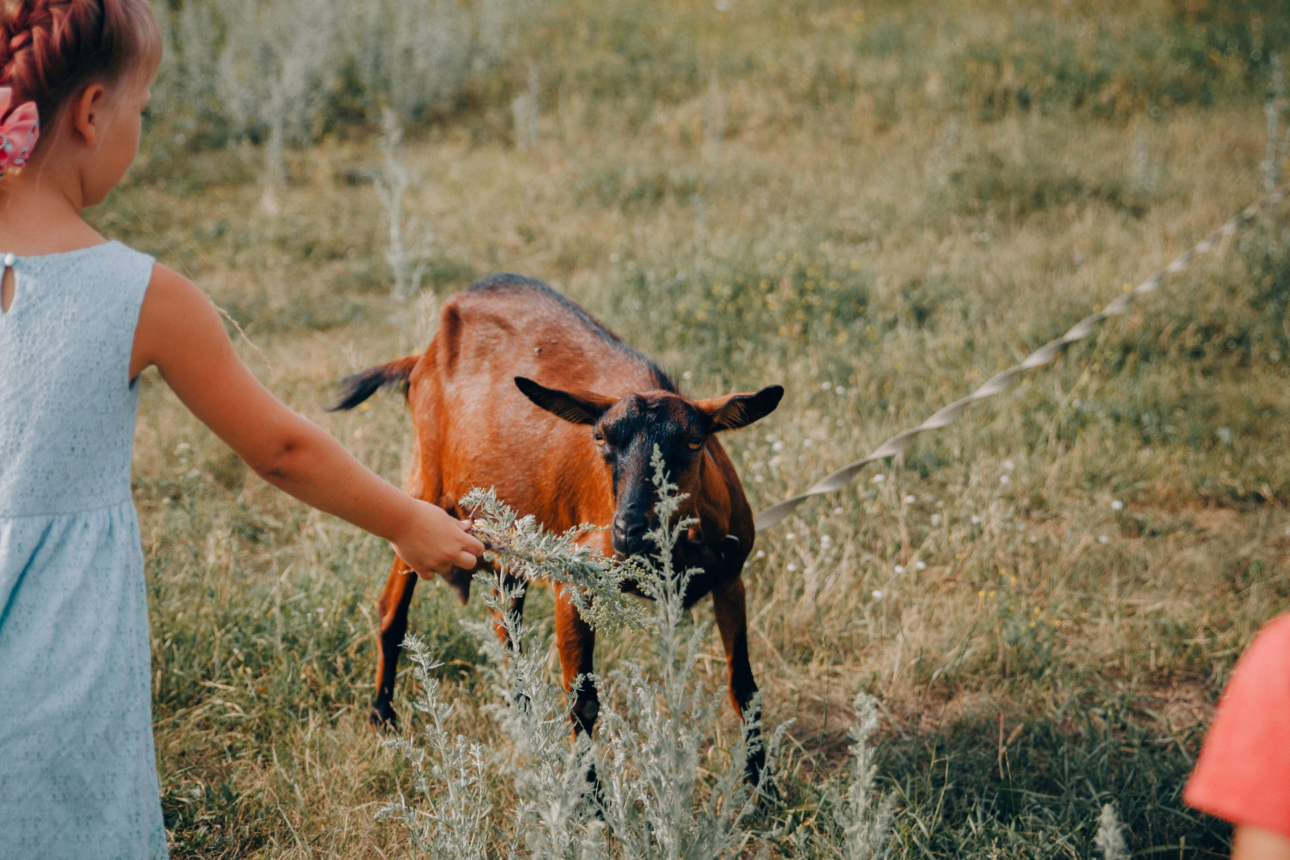 Семейные и детские. Семейный и женский фотограф в Красноярске Алёна Барковская
