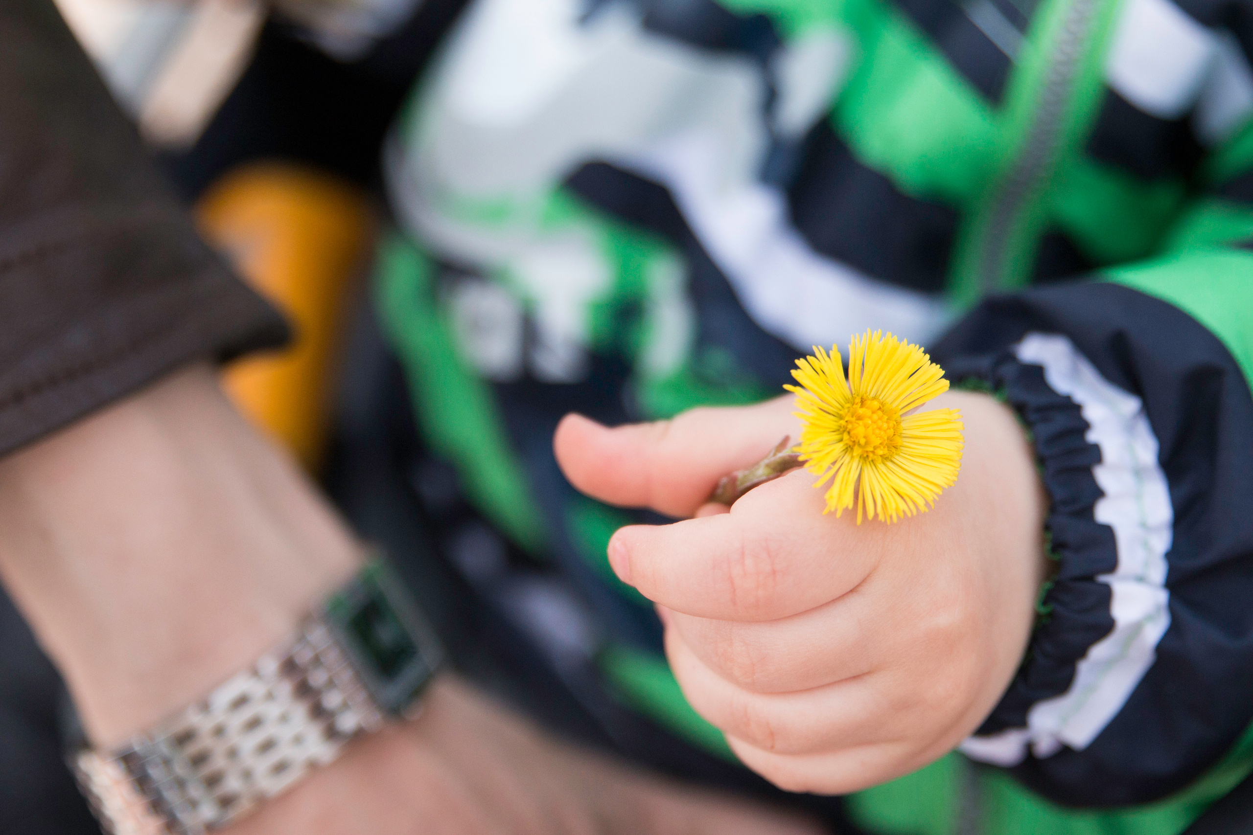 Семейные и детские. Семейный и женский фотограф в Красноярске Алёна Барковская