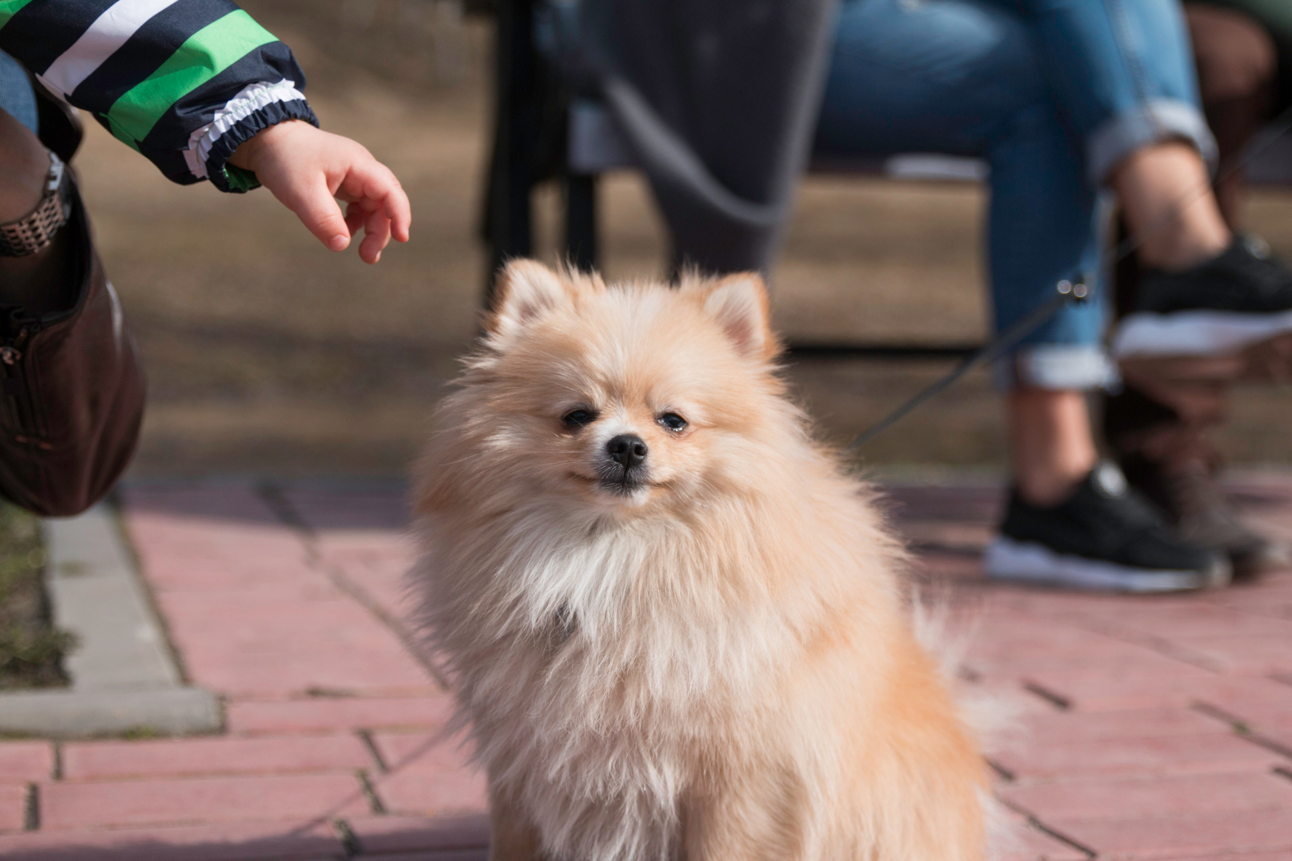 Семейная фотосессия Ани и Максима. Семейный и женский фотограф в Красноярске Алёна Барковская