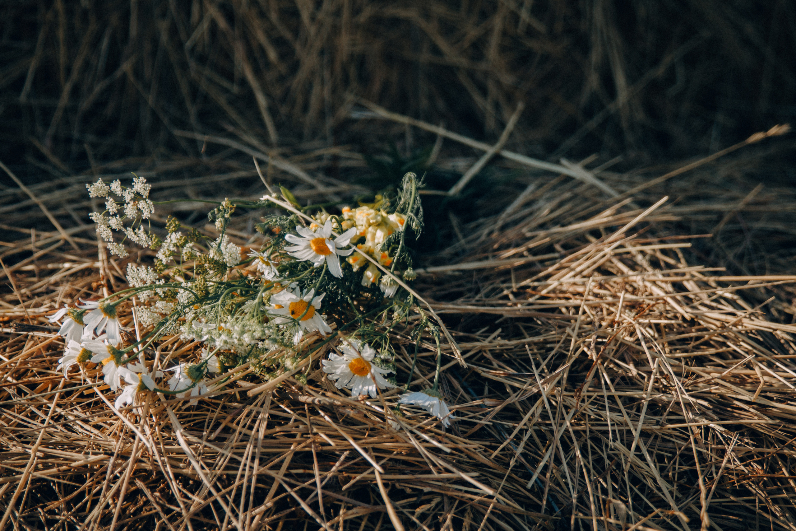 Семейная фотосессия Олеси с детьми. Семейный и женский фотограф в Красноярске Алёна Барковская