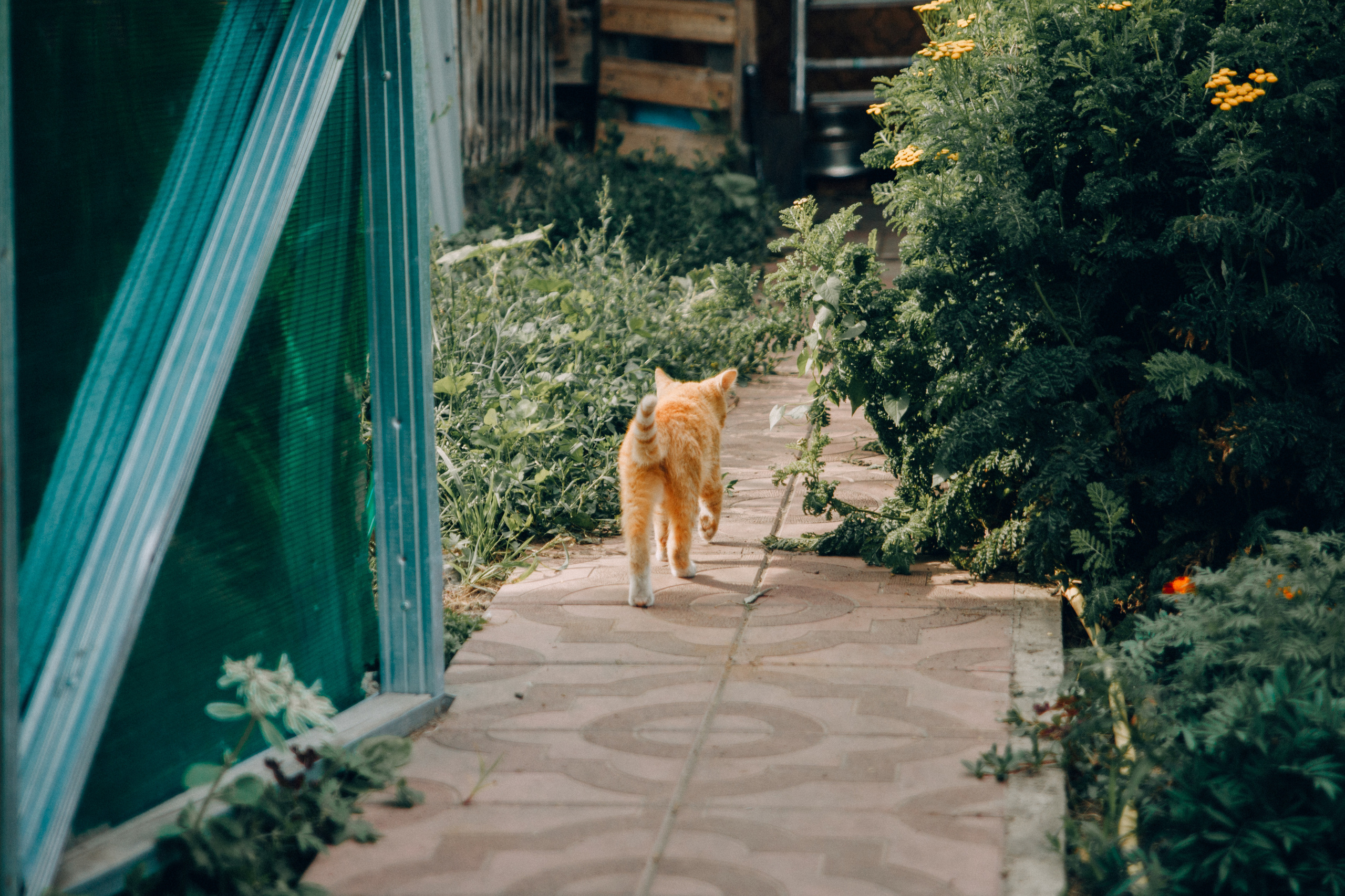 Семейная фотосессия Олеси с детьми. Семейный и женский фотограф в Красноярске Алёна Барковская