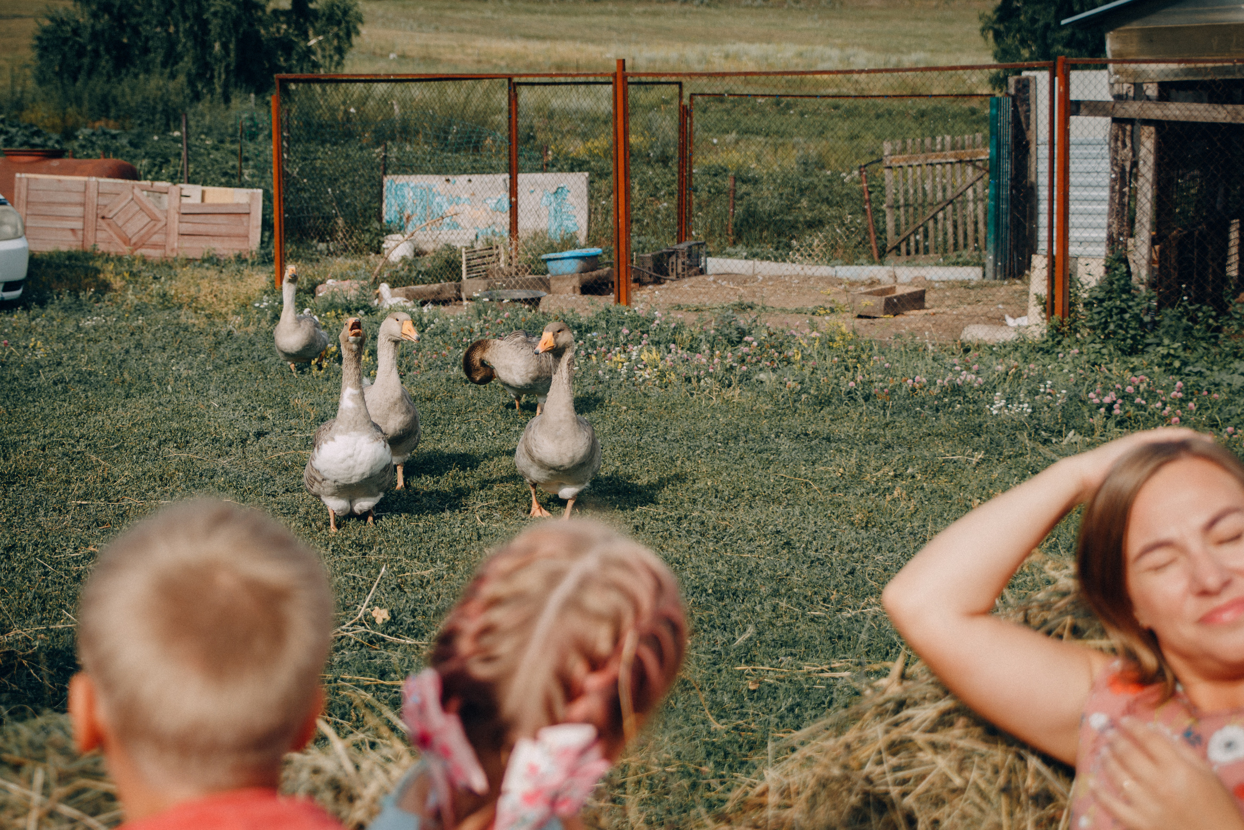 Семейная фотосессия Олеси с детьми. Семейный и женский фотограф в Красноярске Алёна Барковская