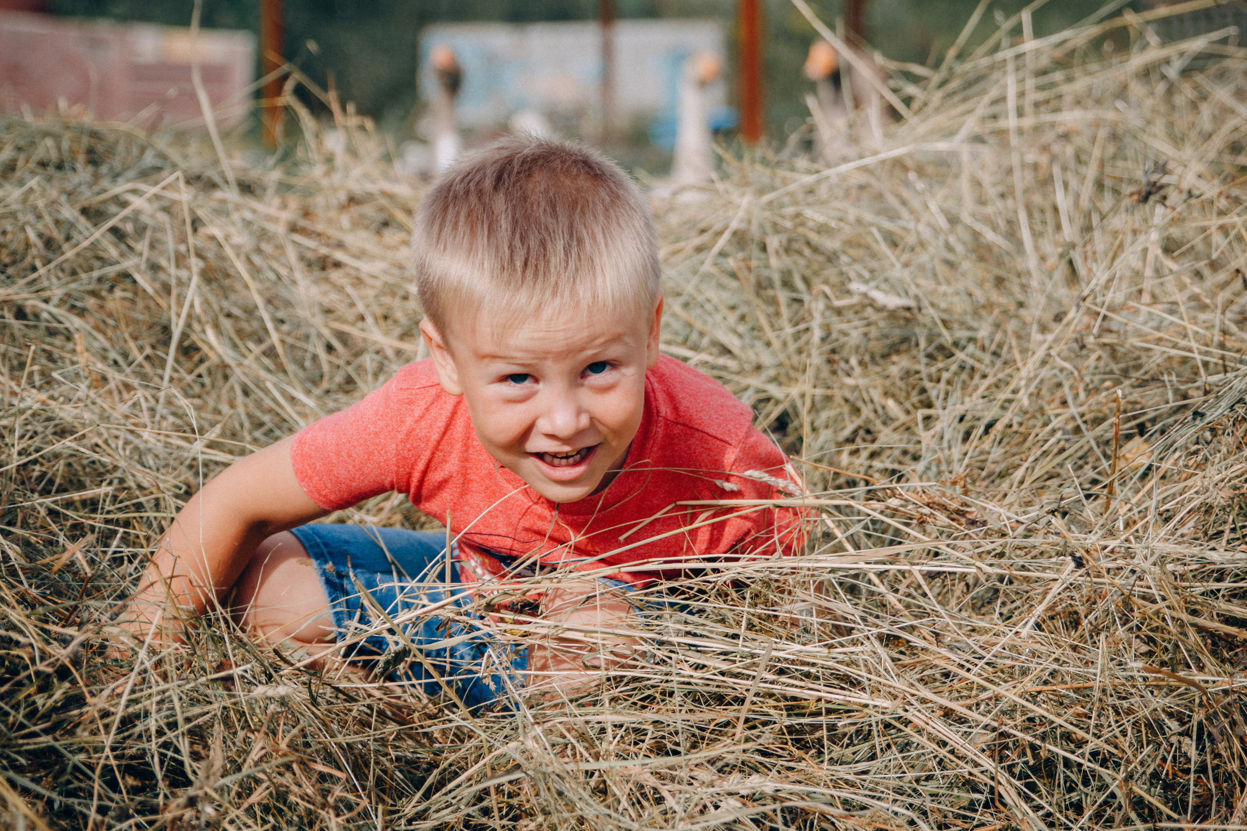 Семейная фотосессия Олеси с детьми. Семейный и женский фотограф в Красноярске Алёна Барковская