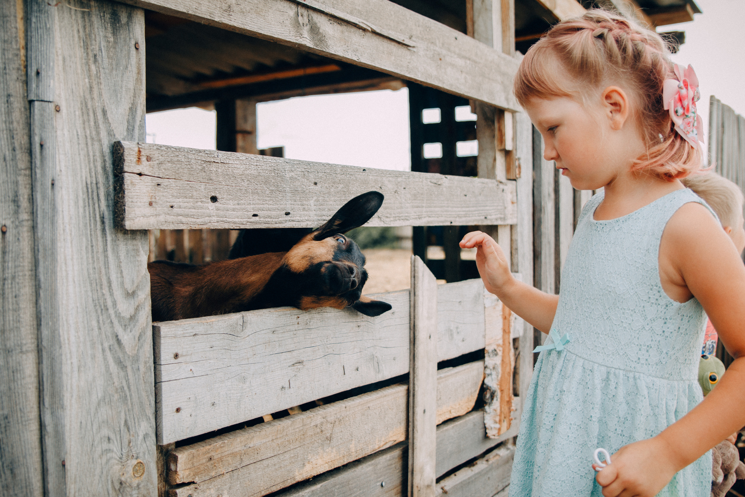 Семейные и детские. Семейный и женский фотограф в Красноярске Алёна Барковская