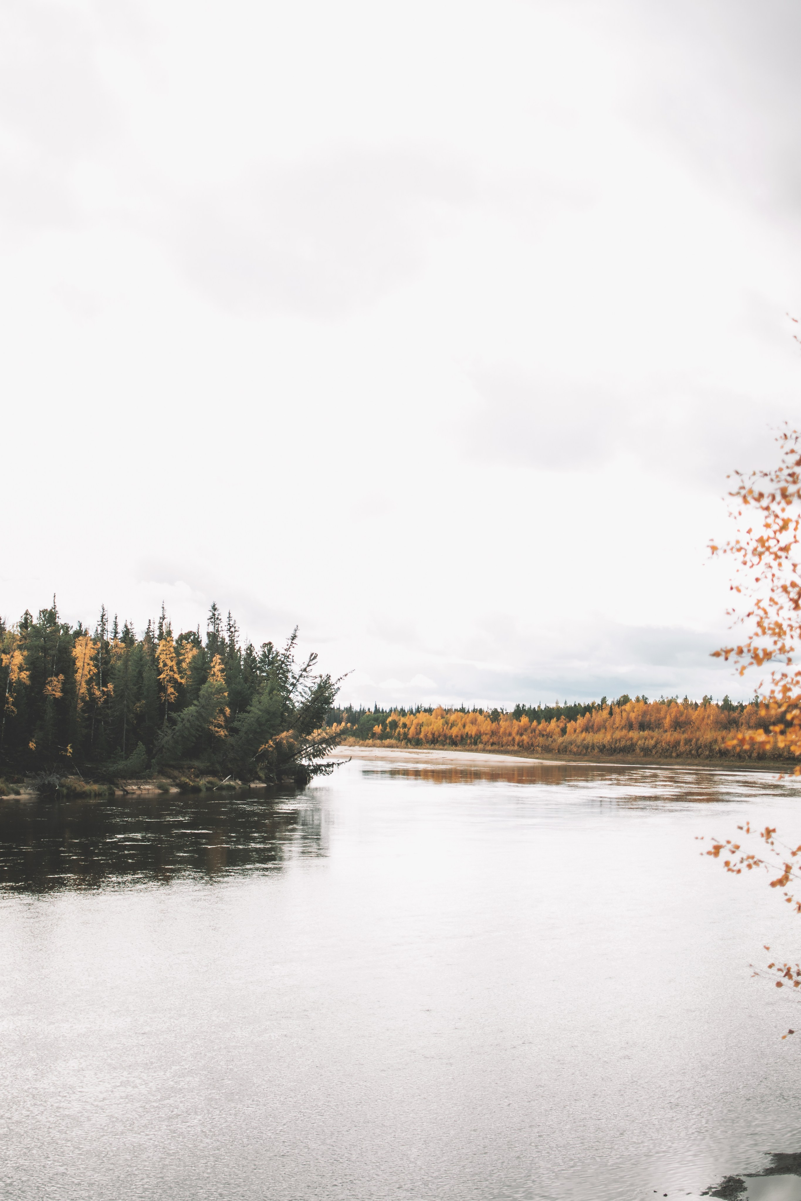 Муслимат. Семейный и свадебный фотограф Губкинский и Ставрополь