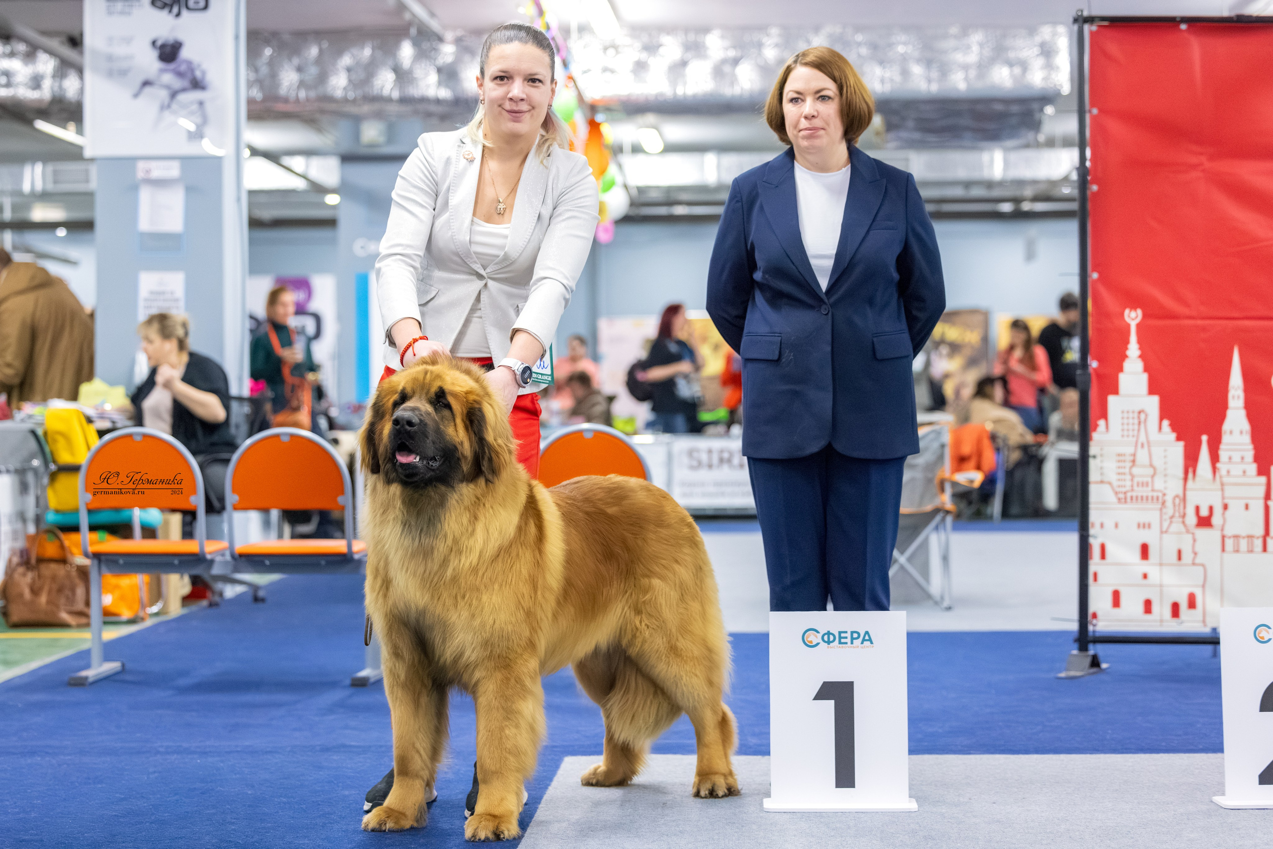 Сфера 17.03.2024. Фотограф-анималист Юлия Германика