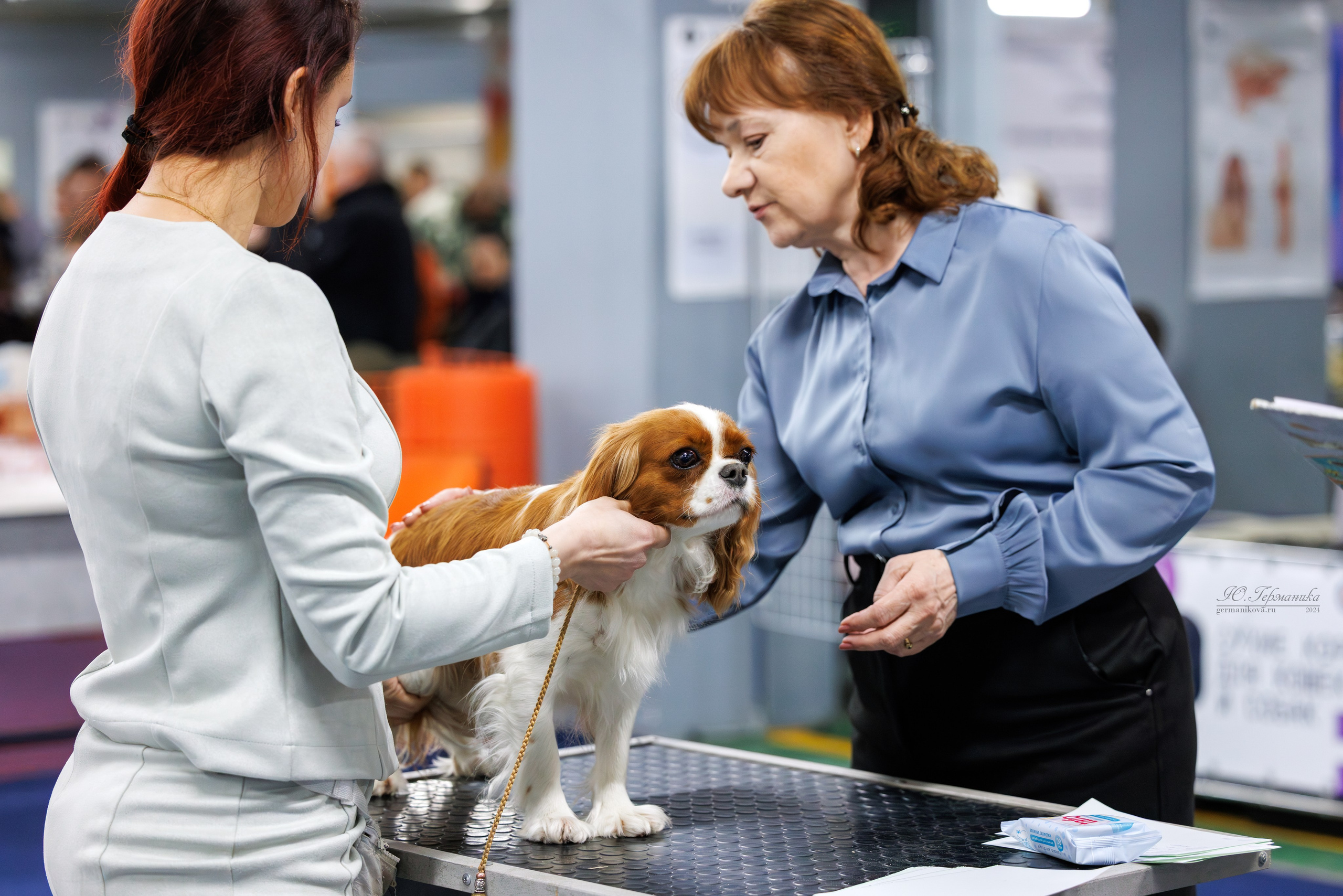 Сфера 06.04.2025. Фотограф-анималист Юлия Германика