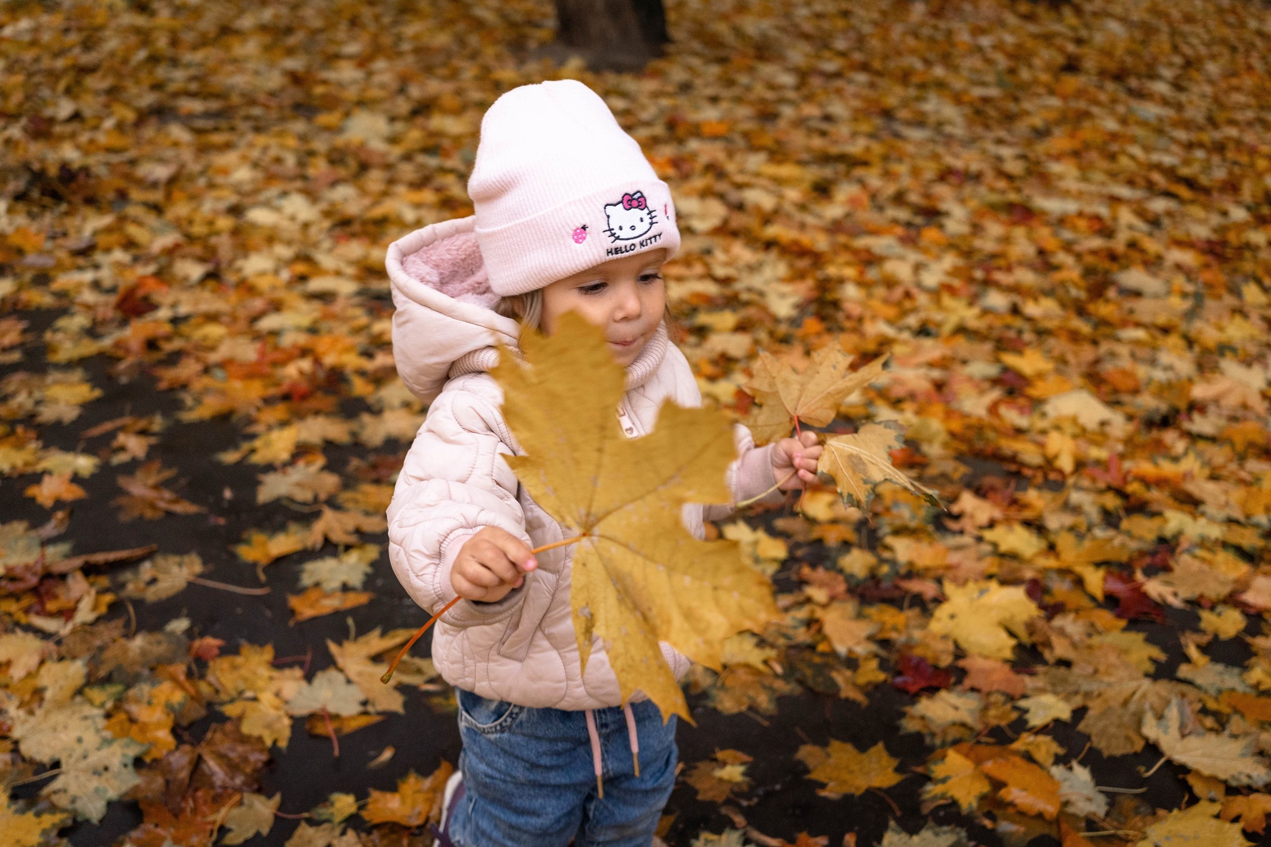 Осенняя фотосессия в Москве (во дворе дома)). Фотограф на роды Москва. Фотограф новорожденных Москва