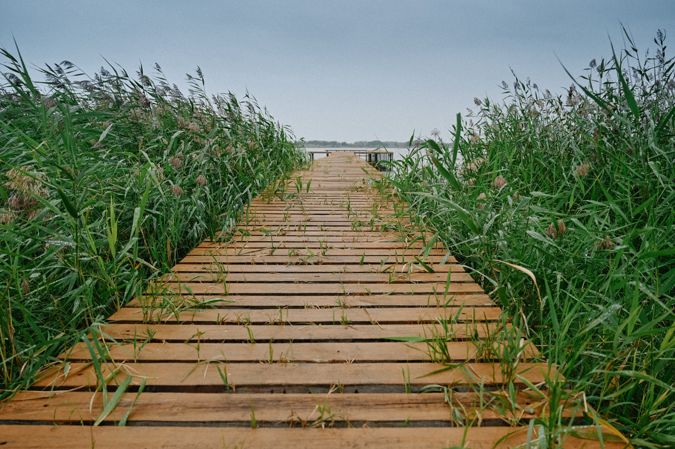 Главная. Семейный и женский фотограф в Челябинске Замятина Ольга