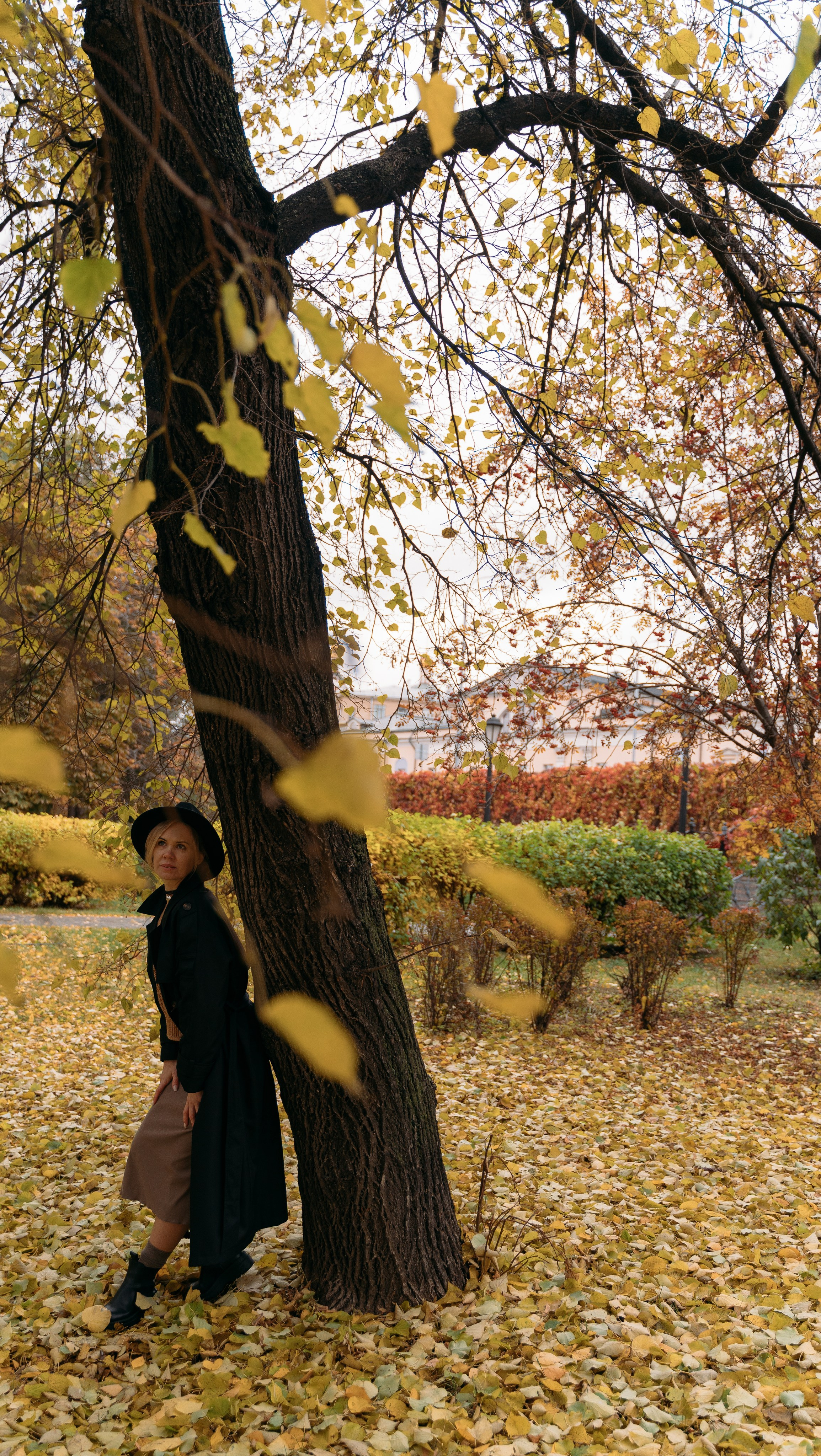 Осенняя история. FotoTanya. Раменское/Жуковский/Бронницы