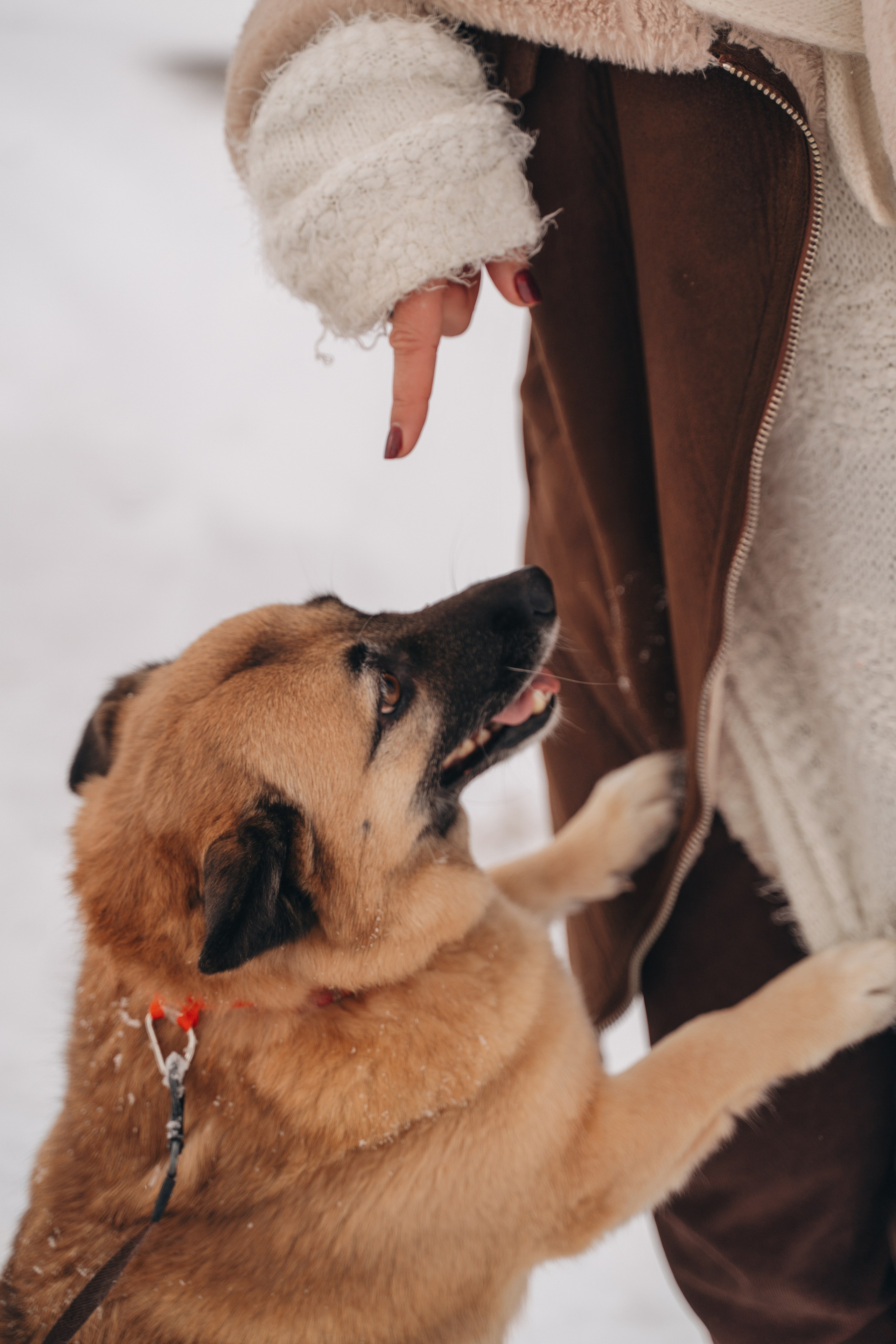 Февраль с Мартой 💞. FotoTanya. Раменское/Жуковский/Бронницы