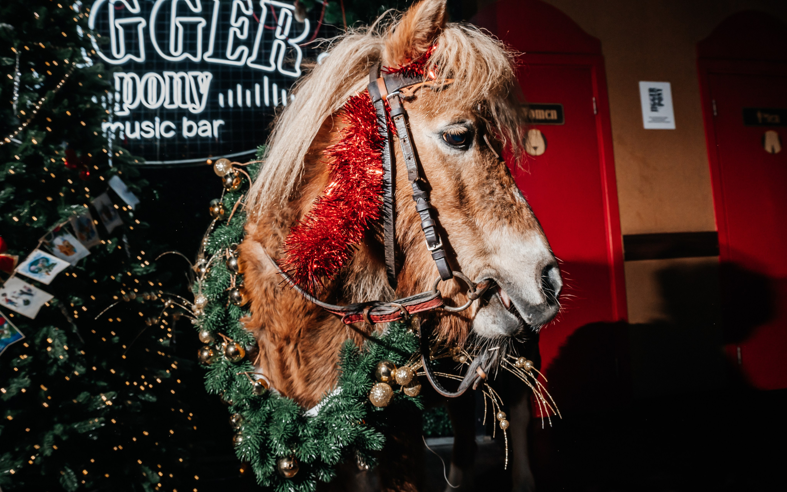 HomeMaster&СтройМода. Фотограф в Благовещенске Андрей Сенченко