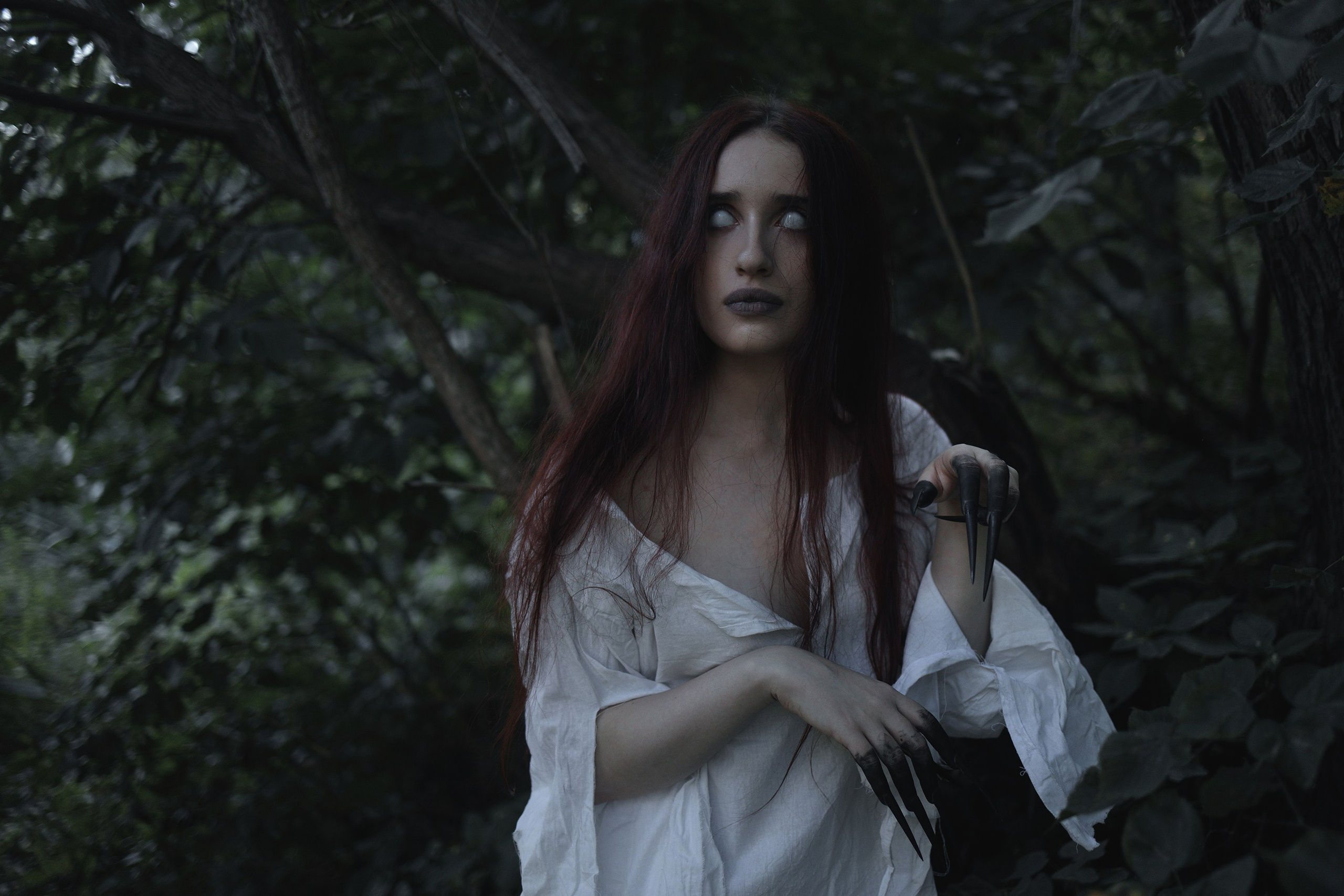 Wermut oder Petersilie?. Арт-фотограф. Coffelisk