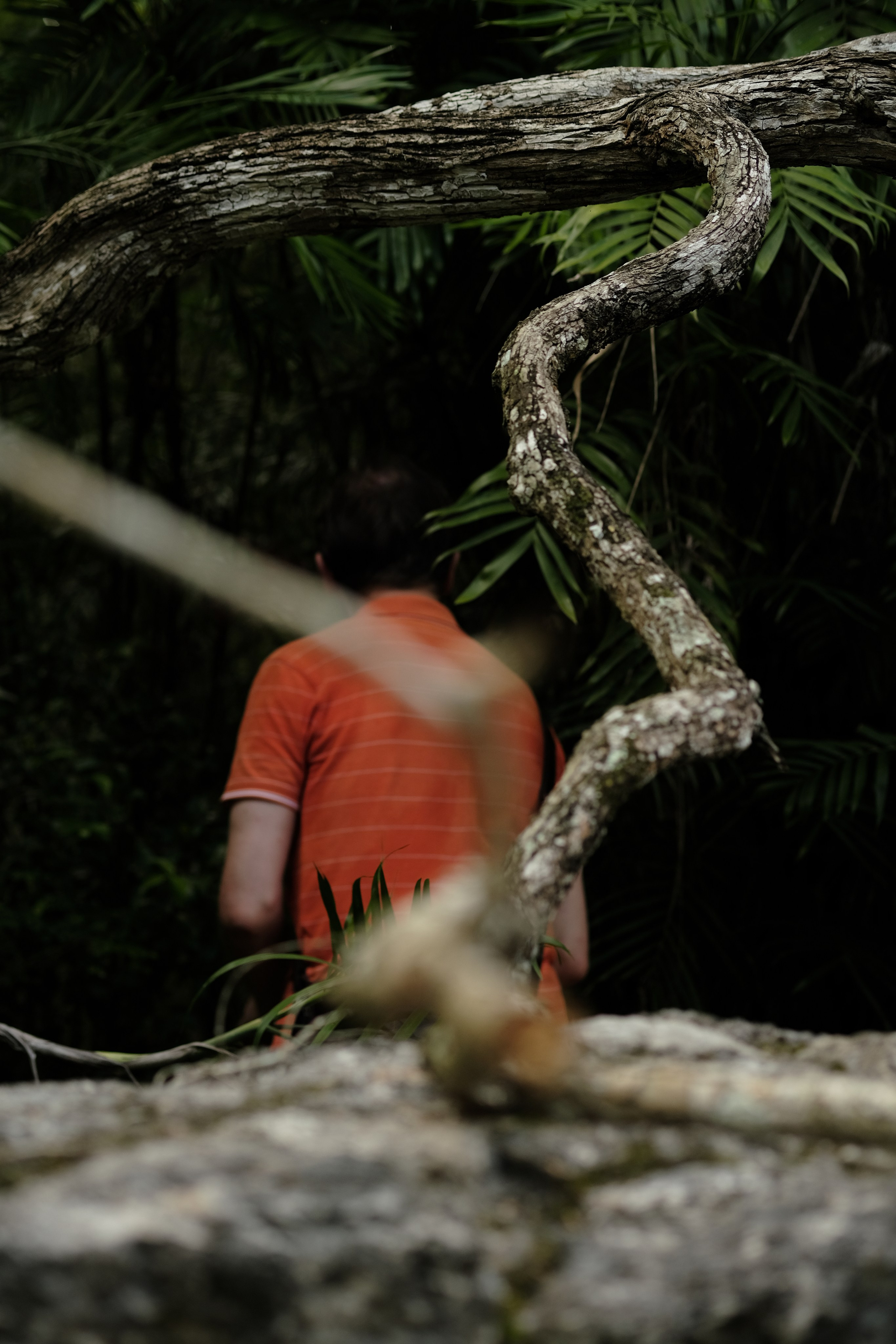 Documentary. Margarita Rodionova — a contemporary lens-based artist currently working in Cancun, Mexico