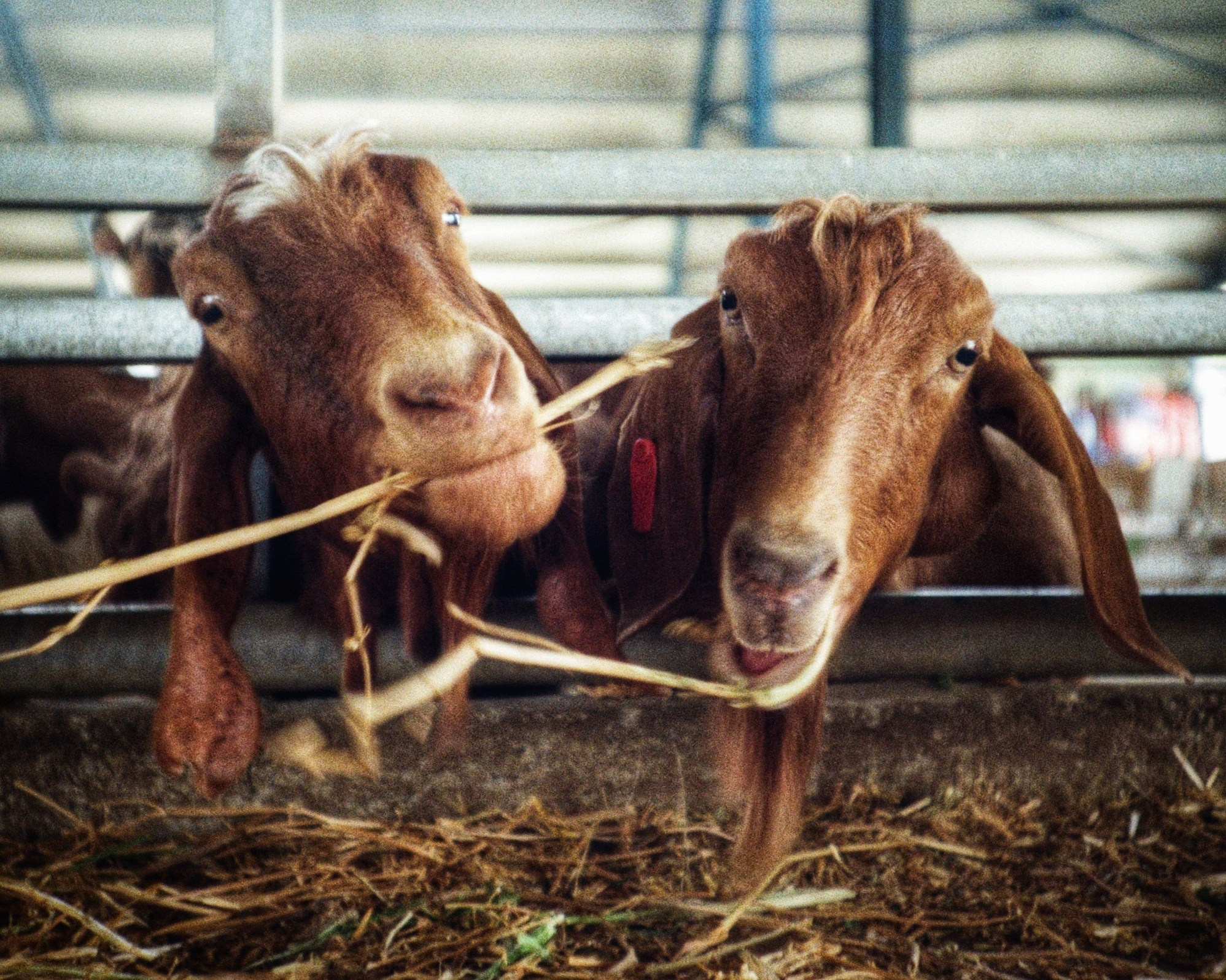 Fine Art Photography. Margarita Rodionova — a contemporary lens-based artist currently working in Cancun, Mexico