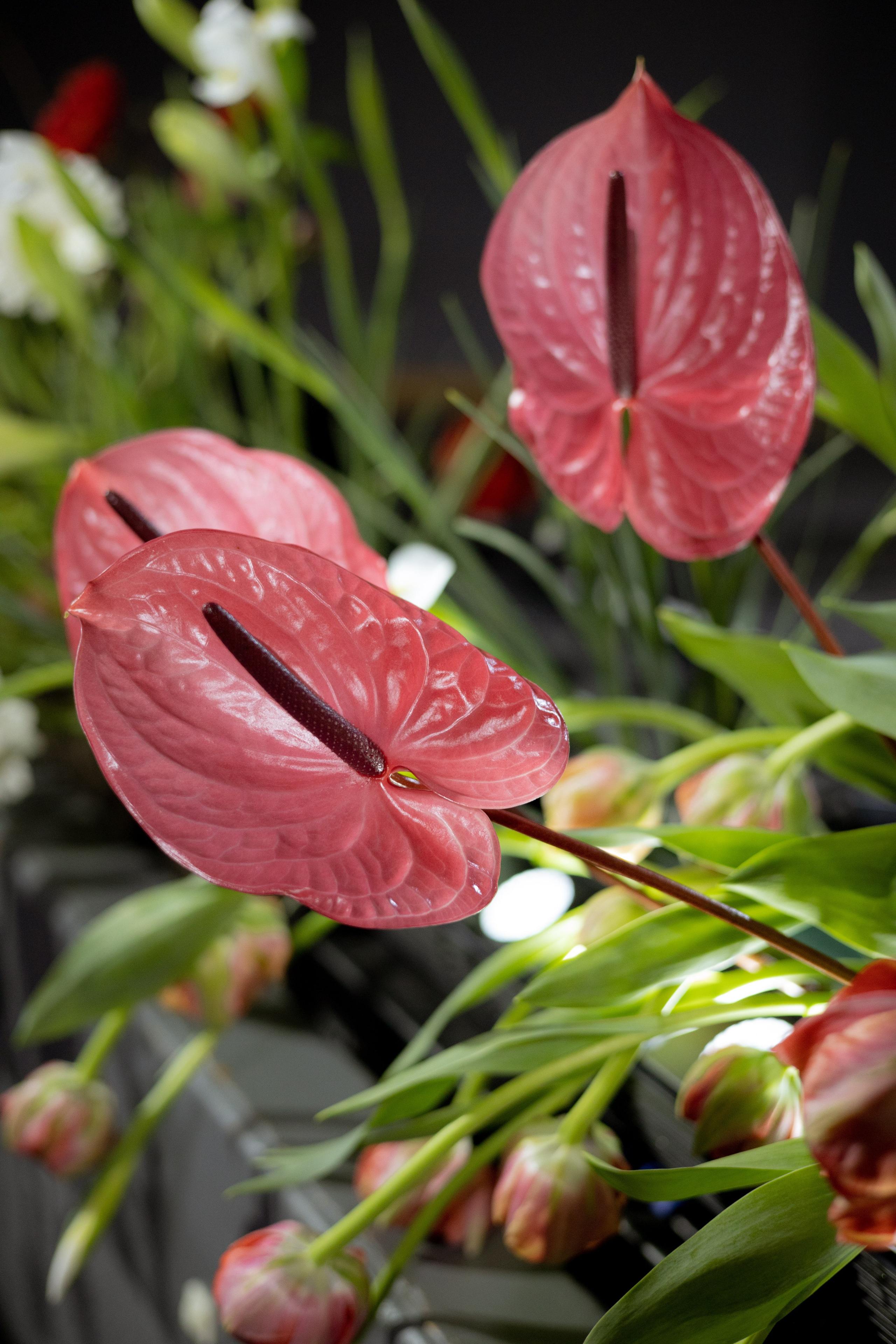 Оформление Отчетного концерта Музыкальной школы Глазунова. Оформление свадеб, декор свадеб Вера Маркова, Москва