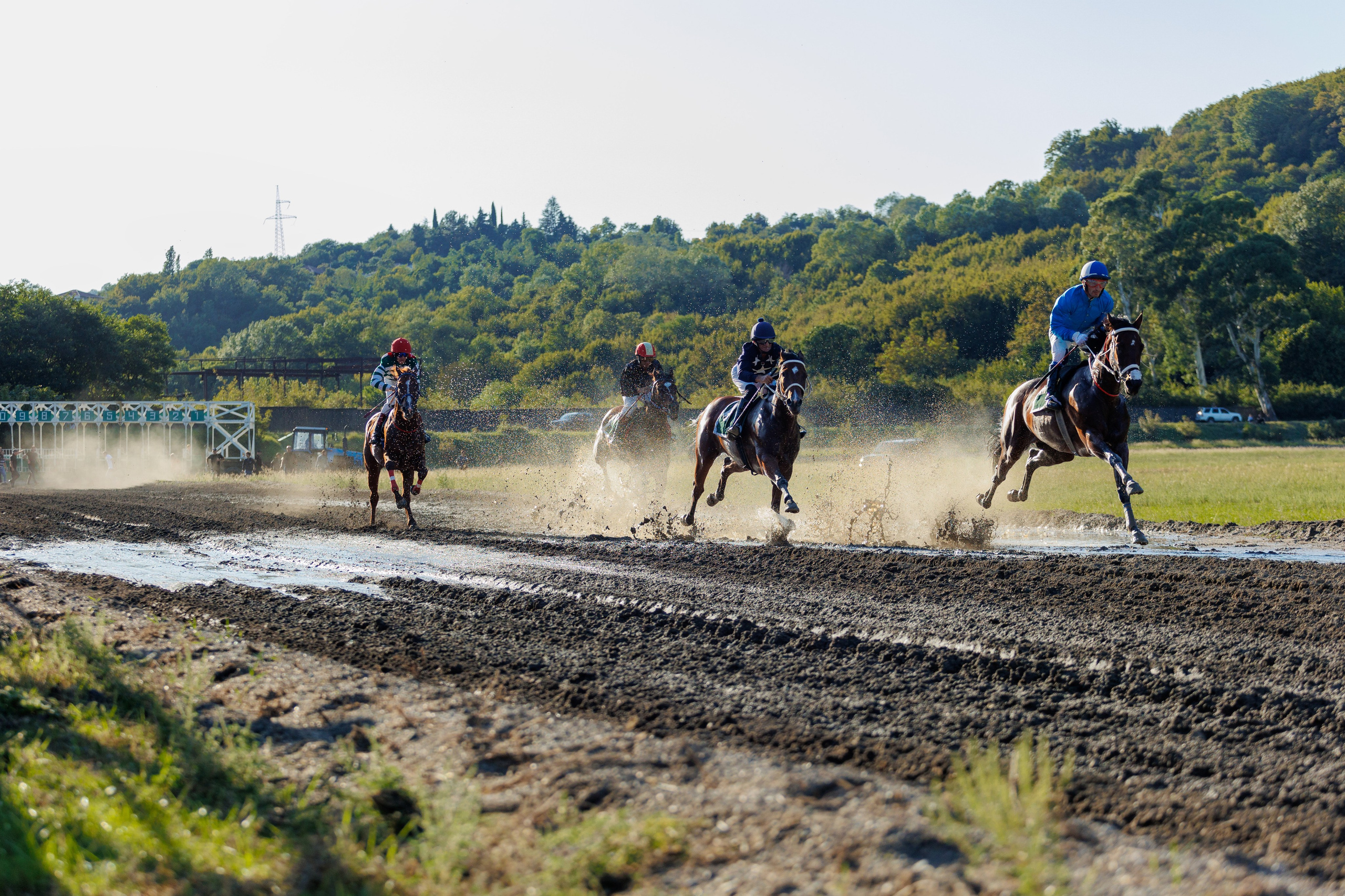Horse racing. Photographer in Saint-Petersburg and Moscow Max Spector