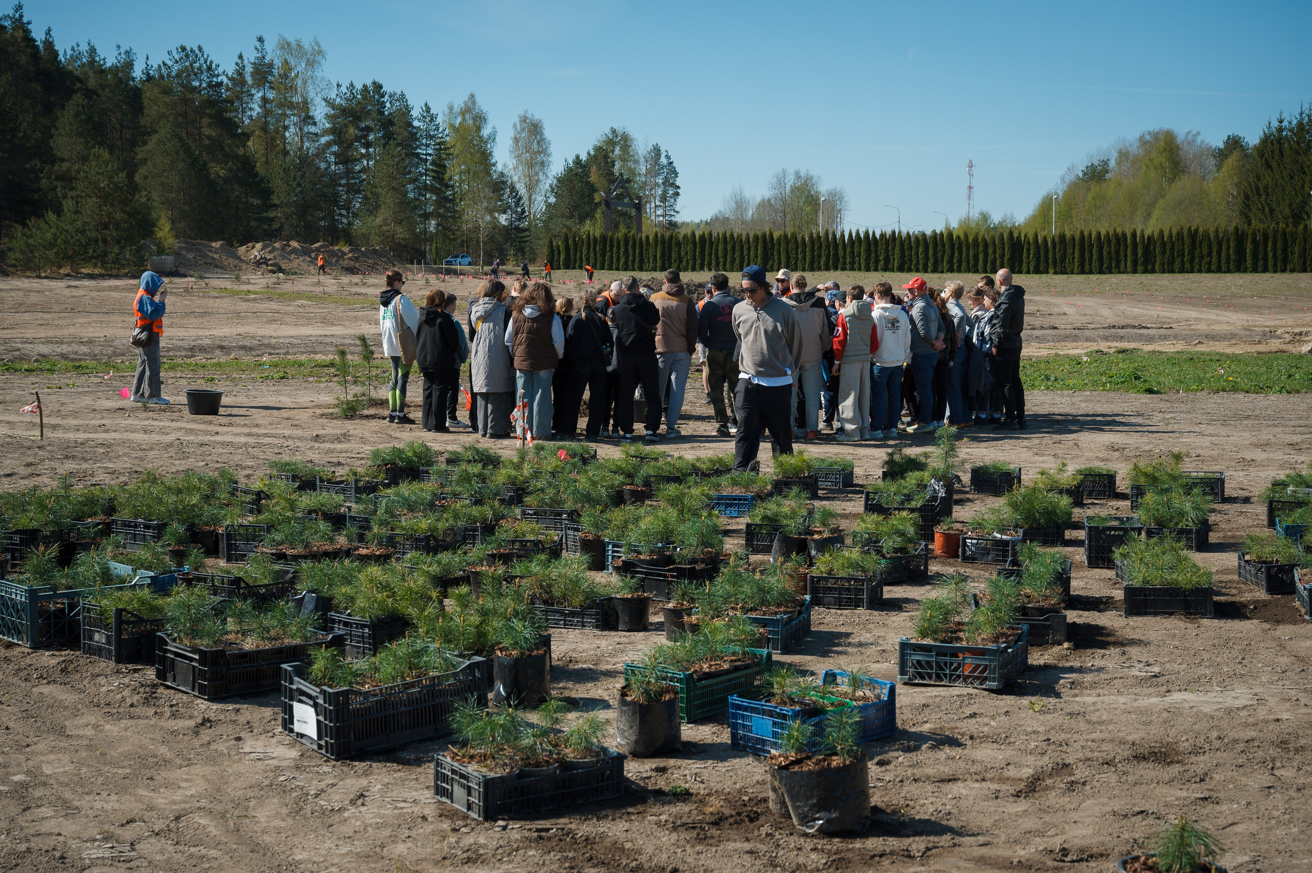 Кедровый парк Biotropika. Ваш свадебный и репортажный фотограф в Санкт-Петербурге Вячеслав Ивахненко