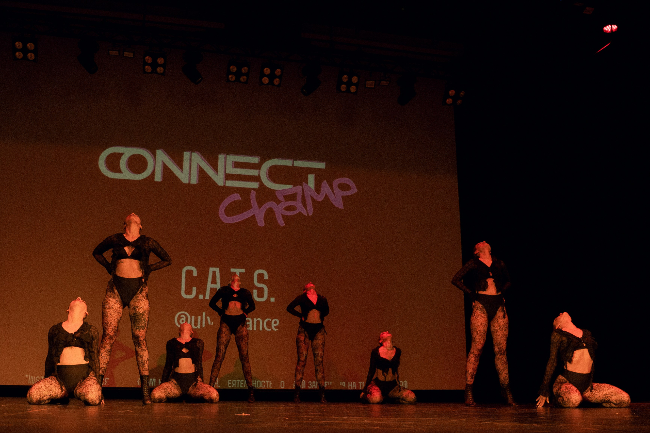 Connect. Фотограф, Видеограф Новосибирск