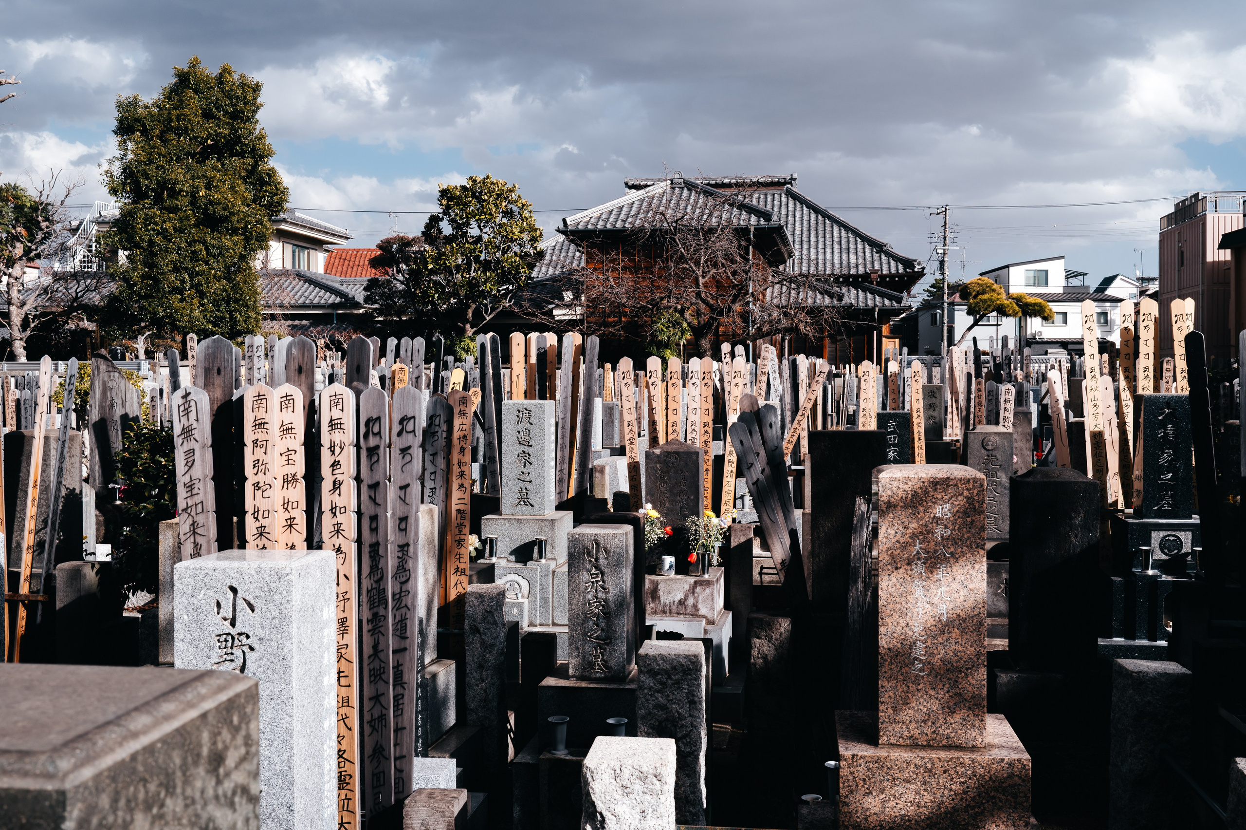 Japan/Япония. @tomrus: Рустам Шагиморданов — фотограф