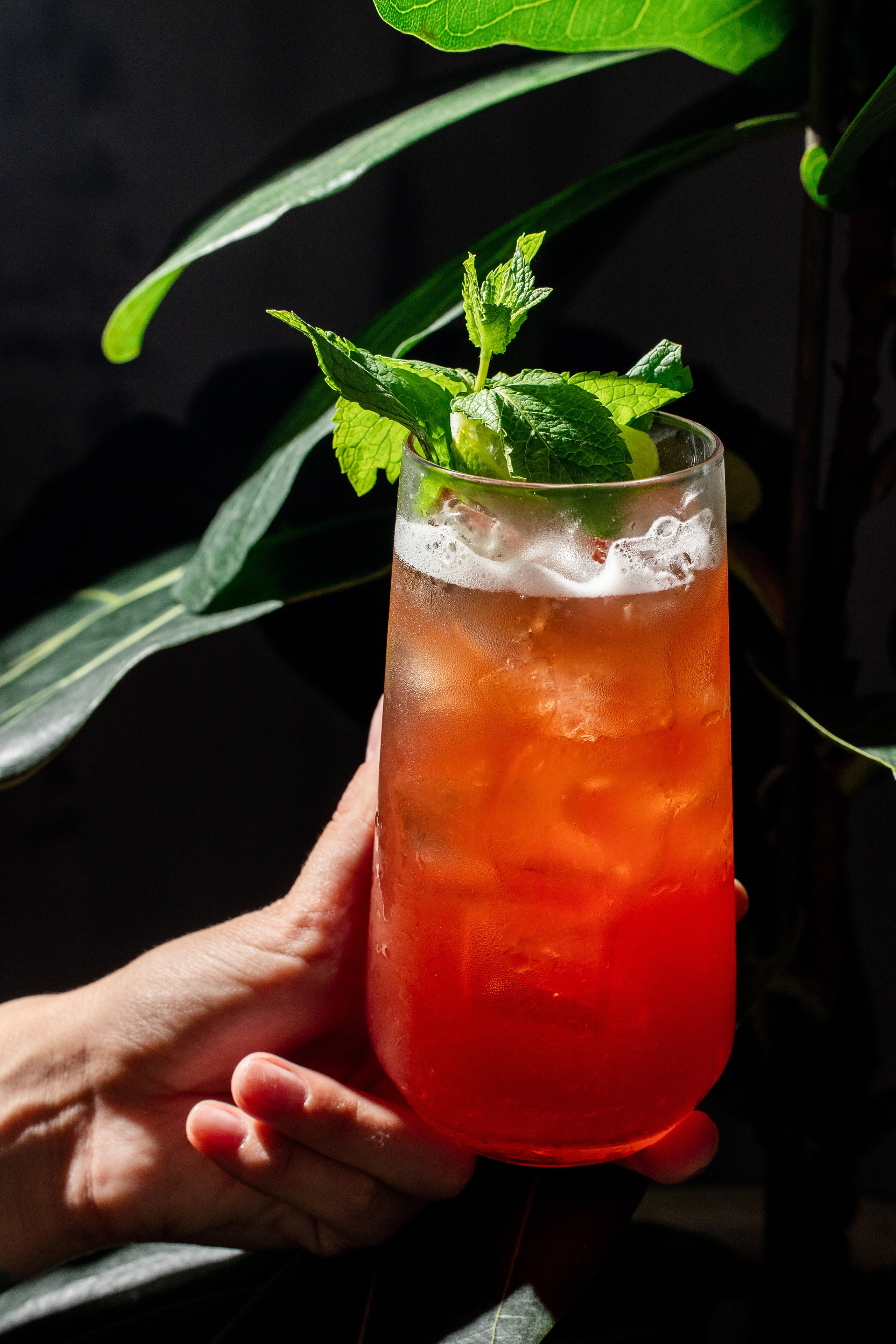 Food Съемка. Репортажный фотограф в Сочи Дмитрий Ветринский