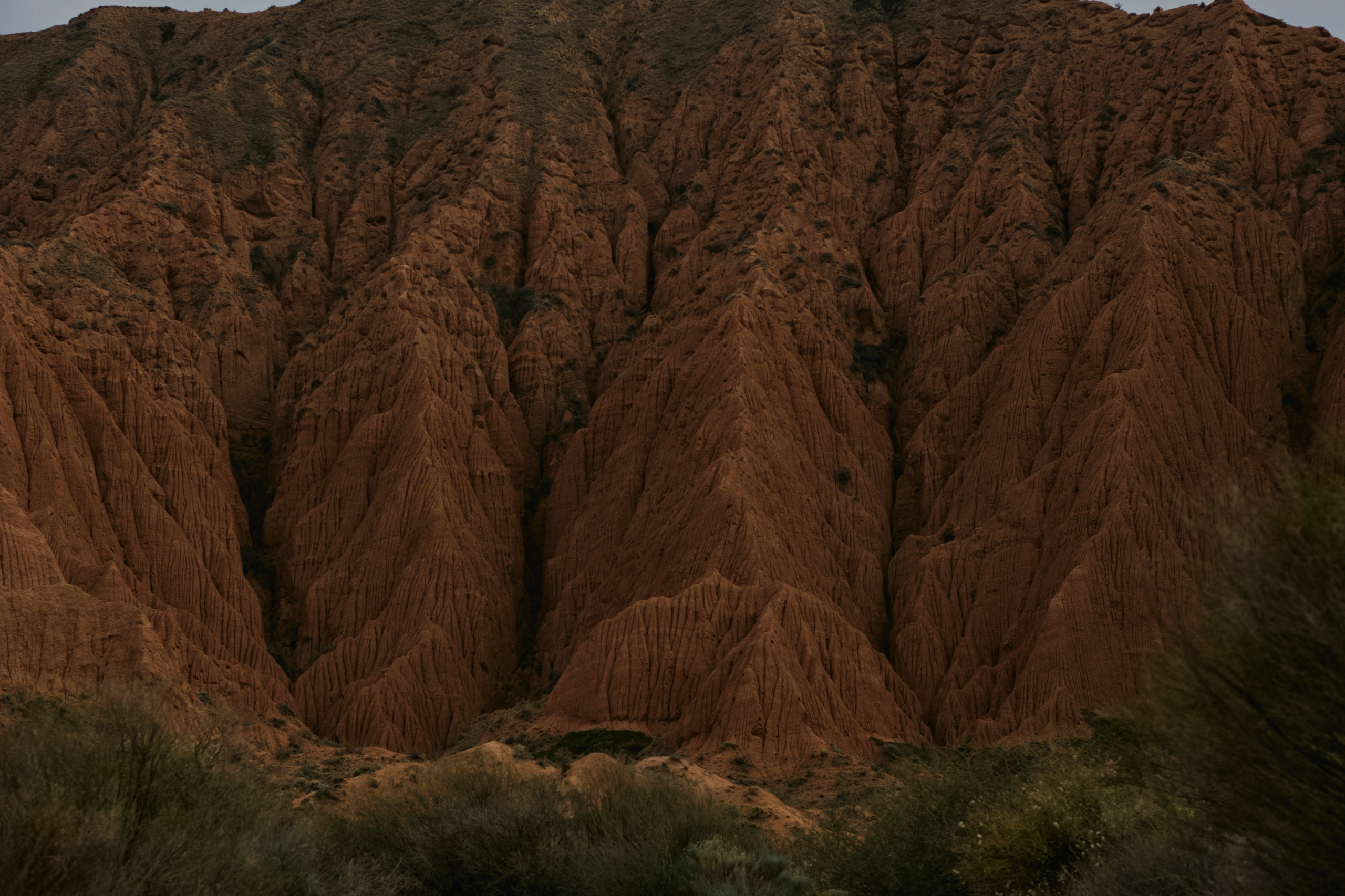 Кыргызтан. Профессиональный Фотограф во Владимире, в Москве и в Суздале — Полина Романычева