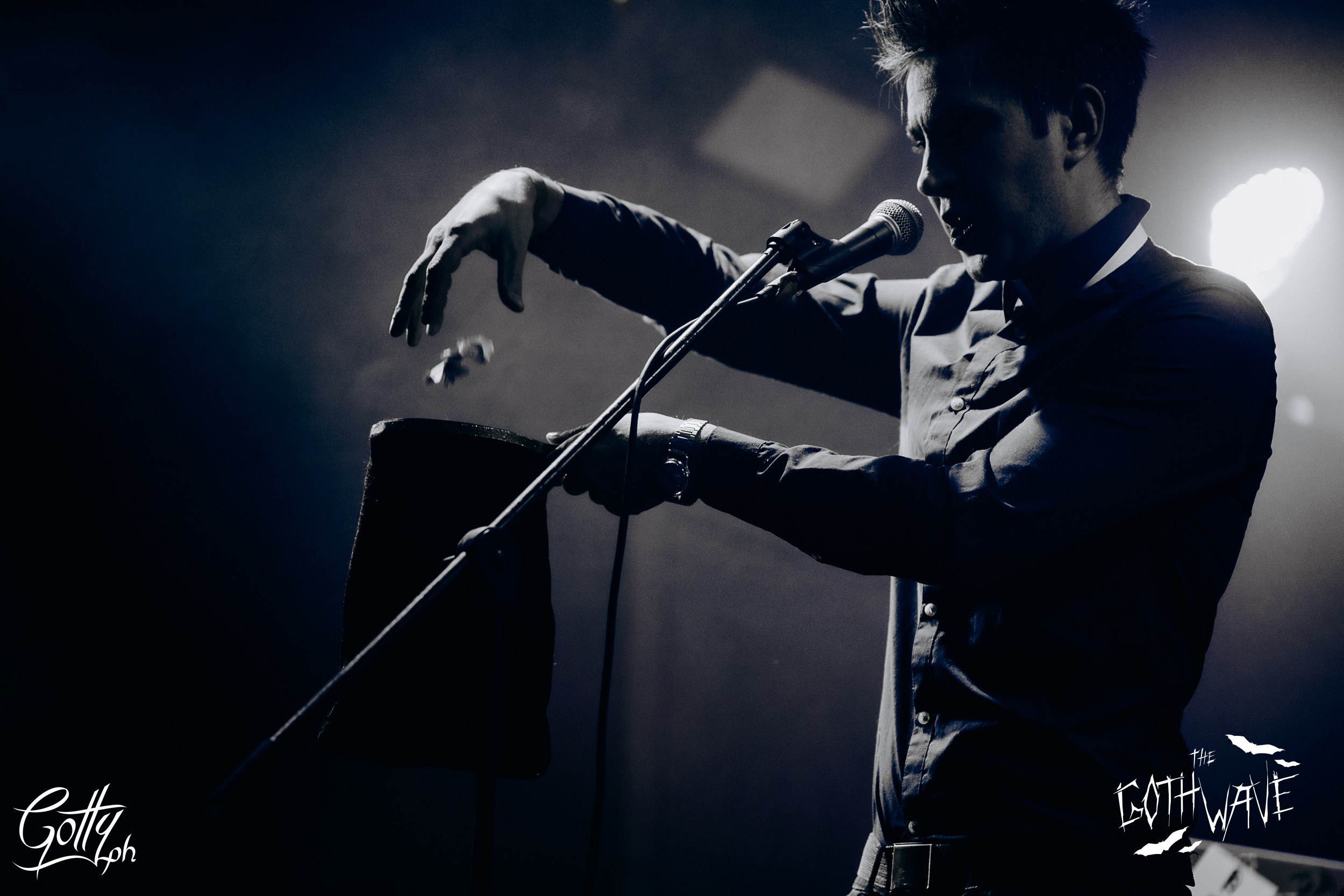 Halloween '24 Msk. Концертный и портретный фотограф Москва и Санкт-Петербург