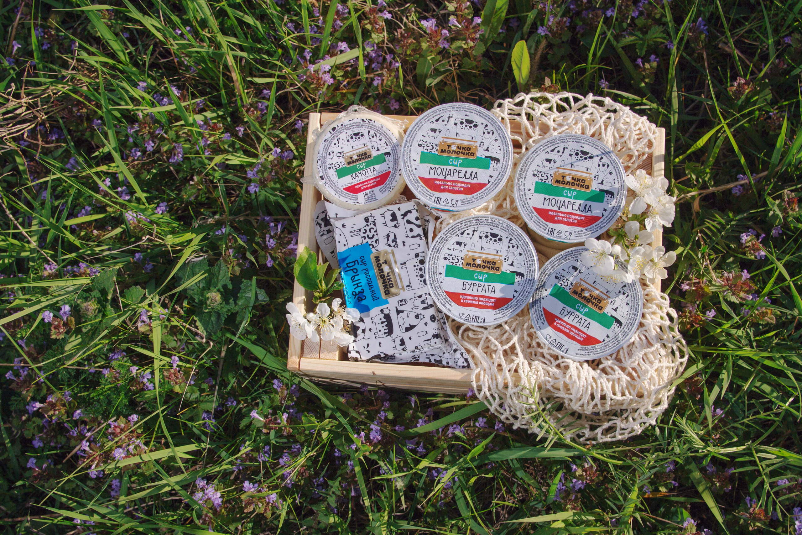 Точка-молочка