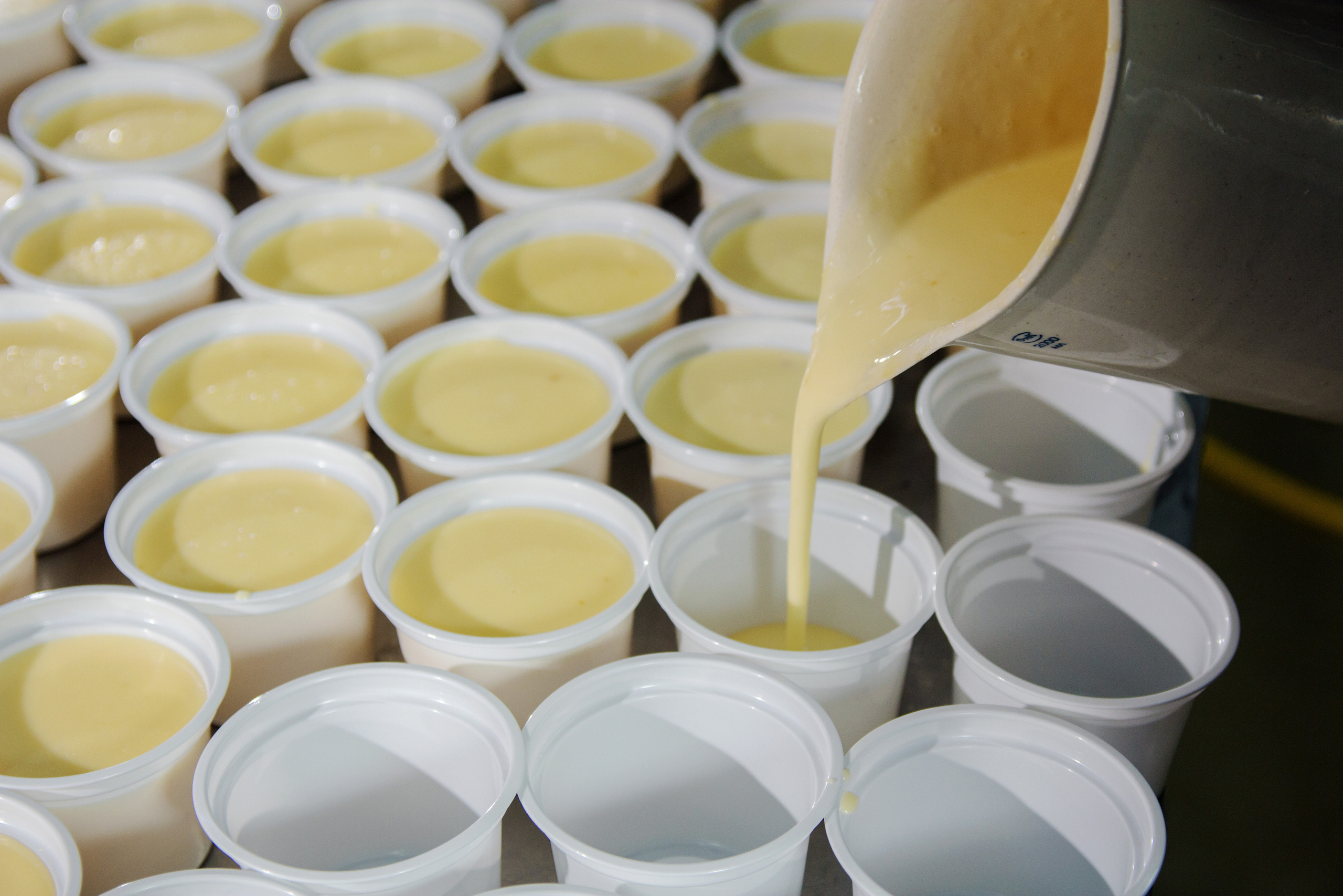 Точка-молочка