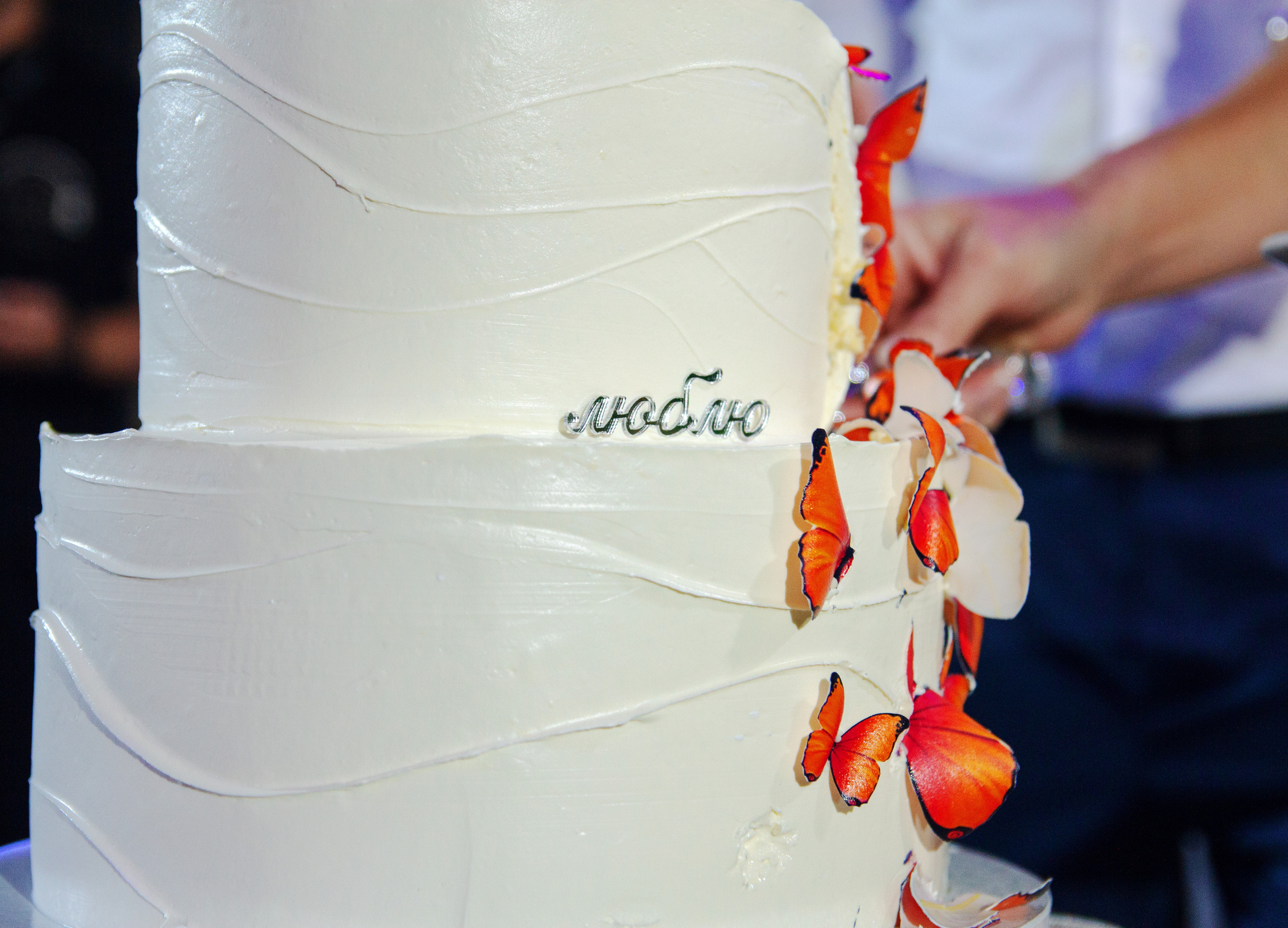 Денис и Екатерина