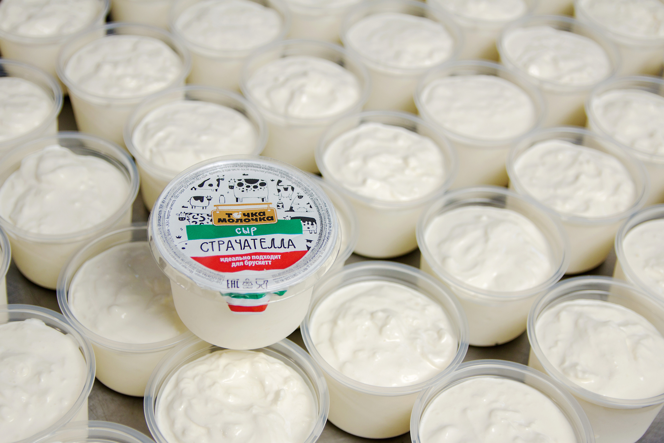 Точка-молочка