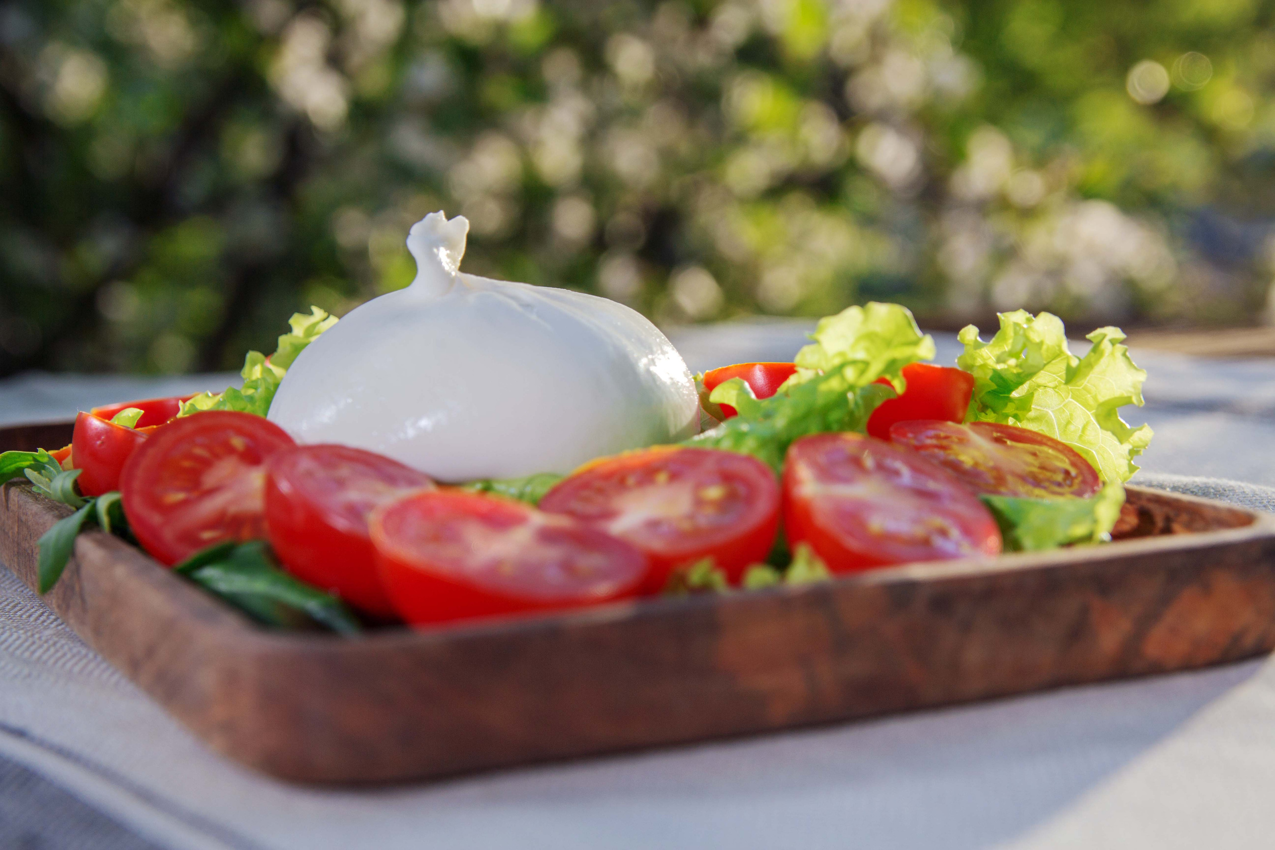 Точка-молочка