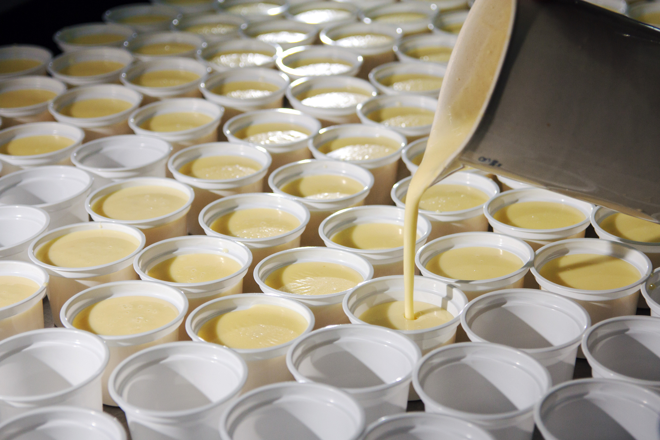 Точка-молочка