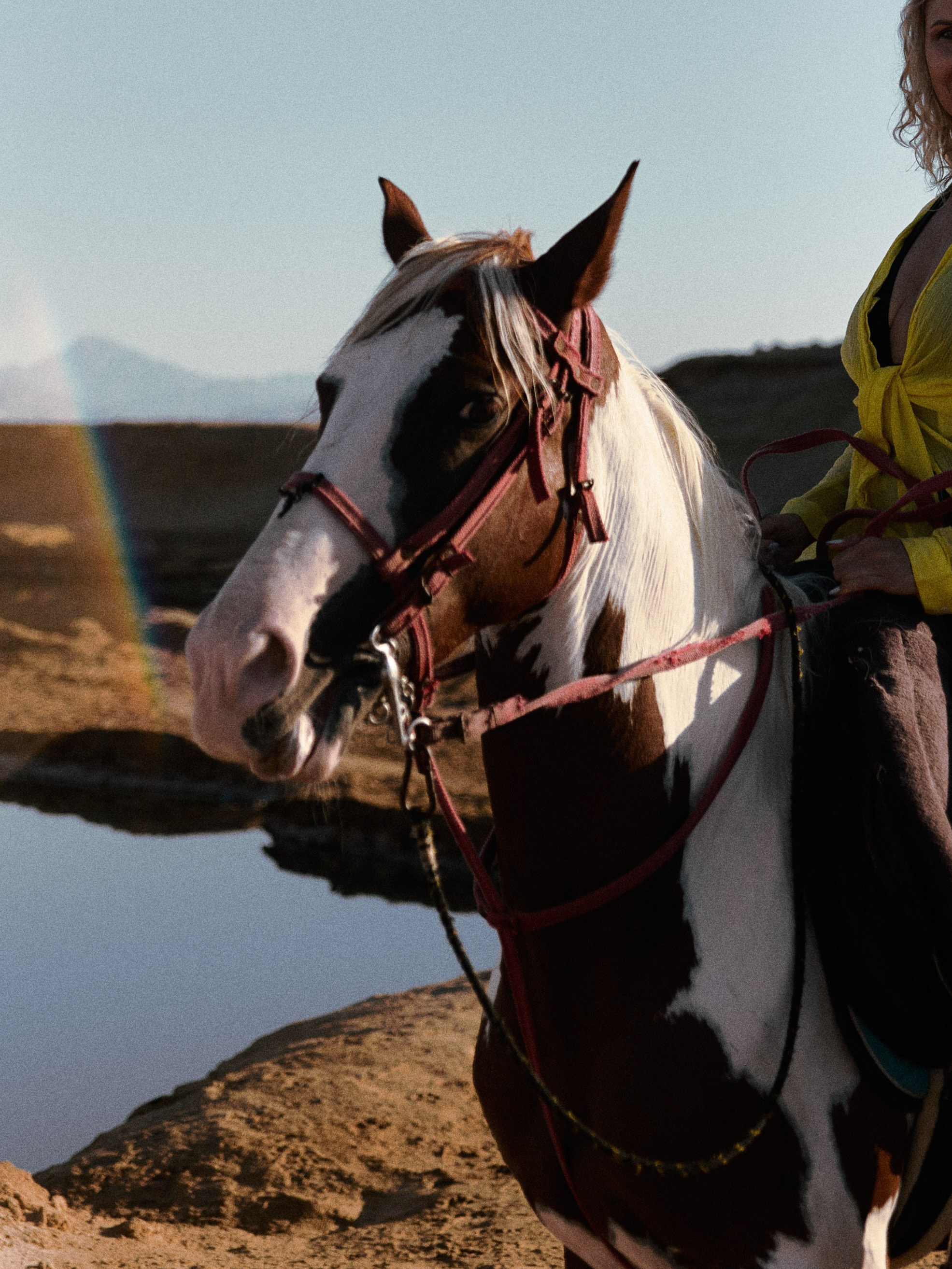Лошадиная ферма. Jorgis — фотограф в Хургаде / обучение фотографии