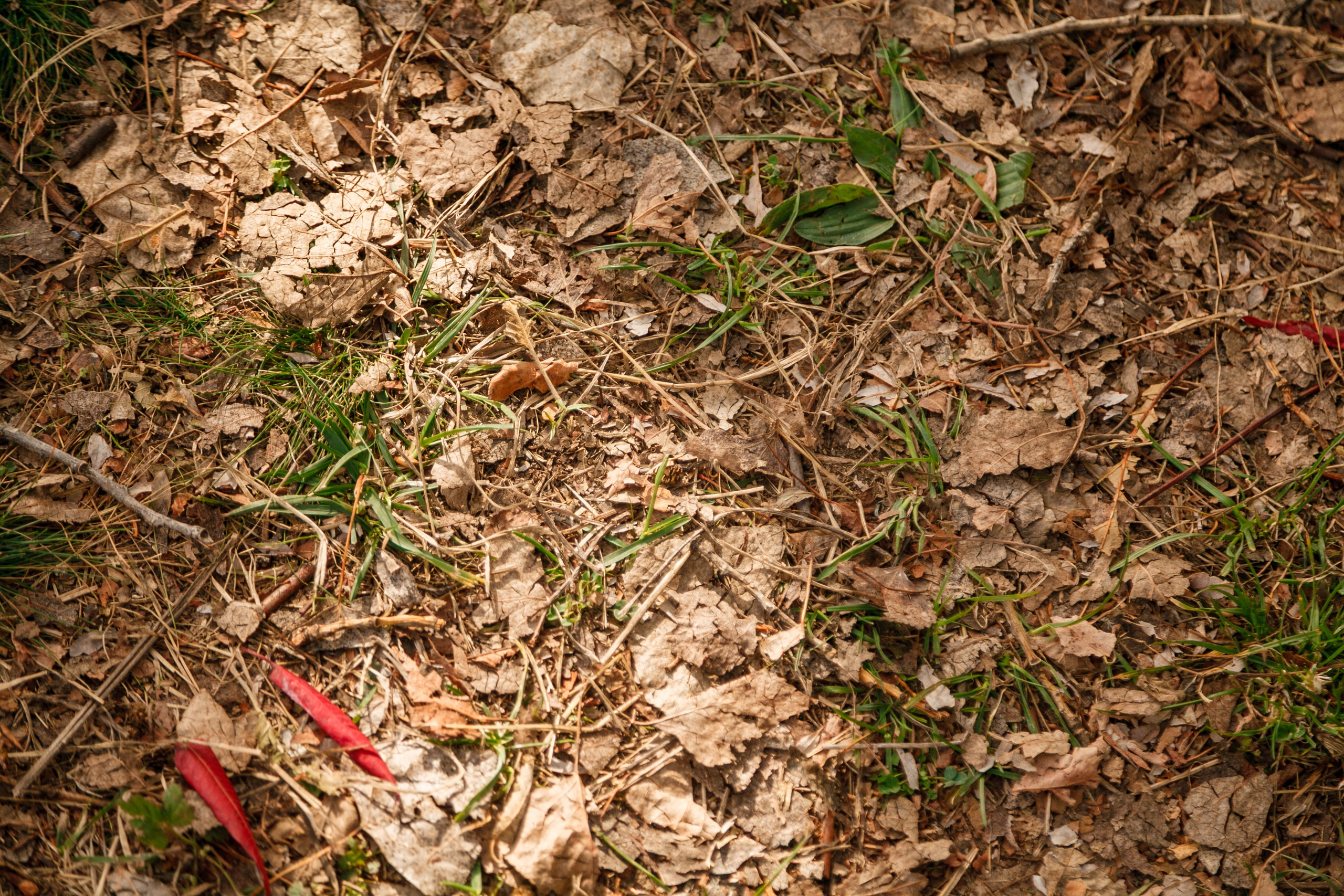 Ретрит"ОТКРОЙ СЕБЯ». Свадебный и семейный фотограф в Армавире