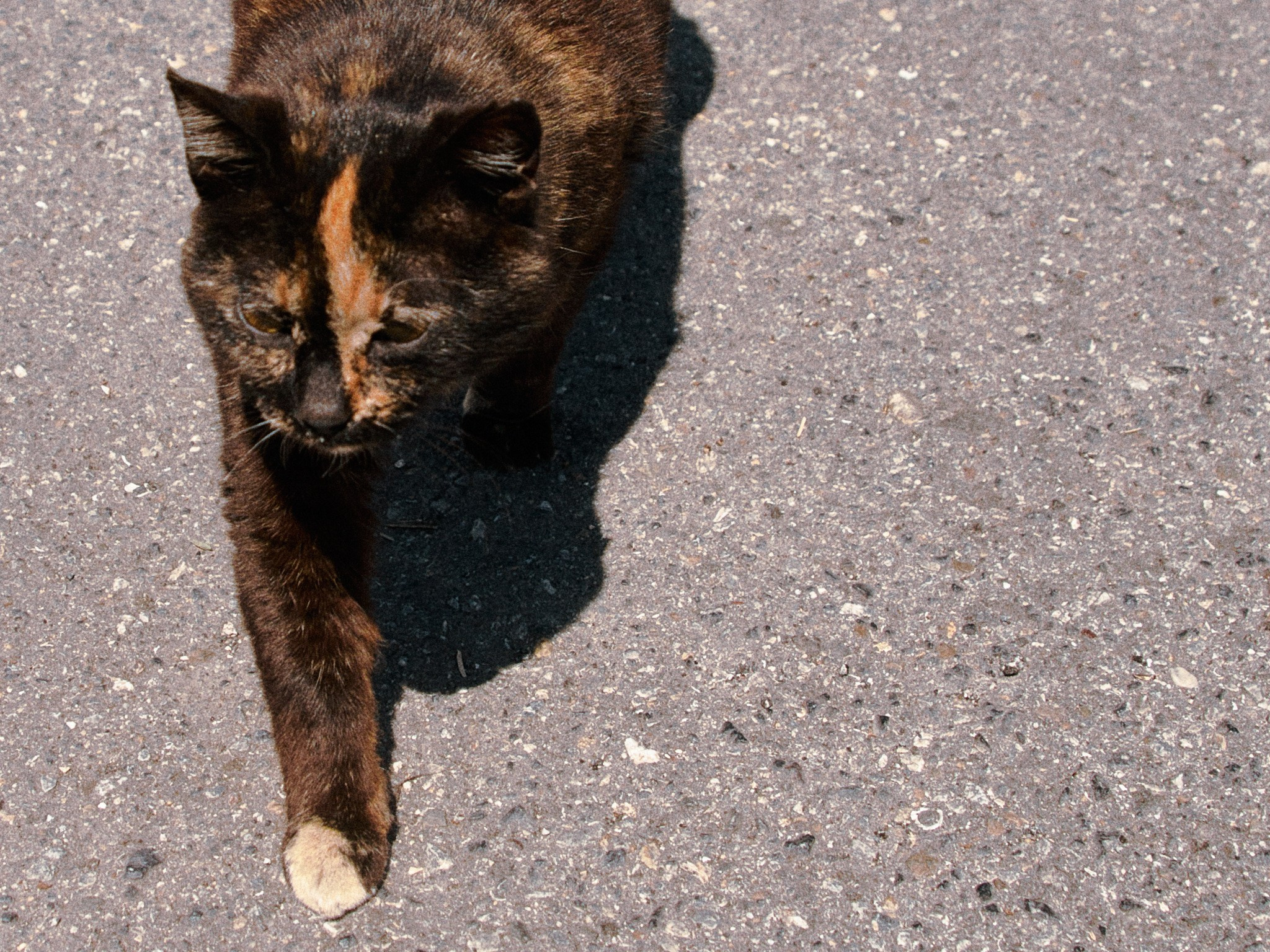 Улица горизонтальная. Jorgis — фотограф в Хургаде / обучение фотографии